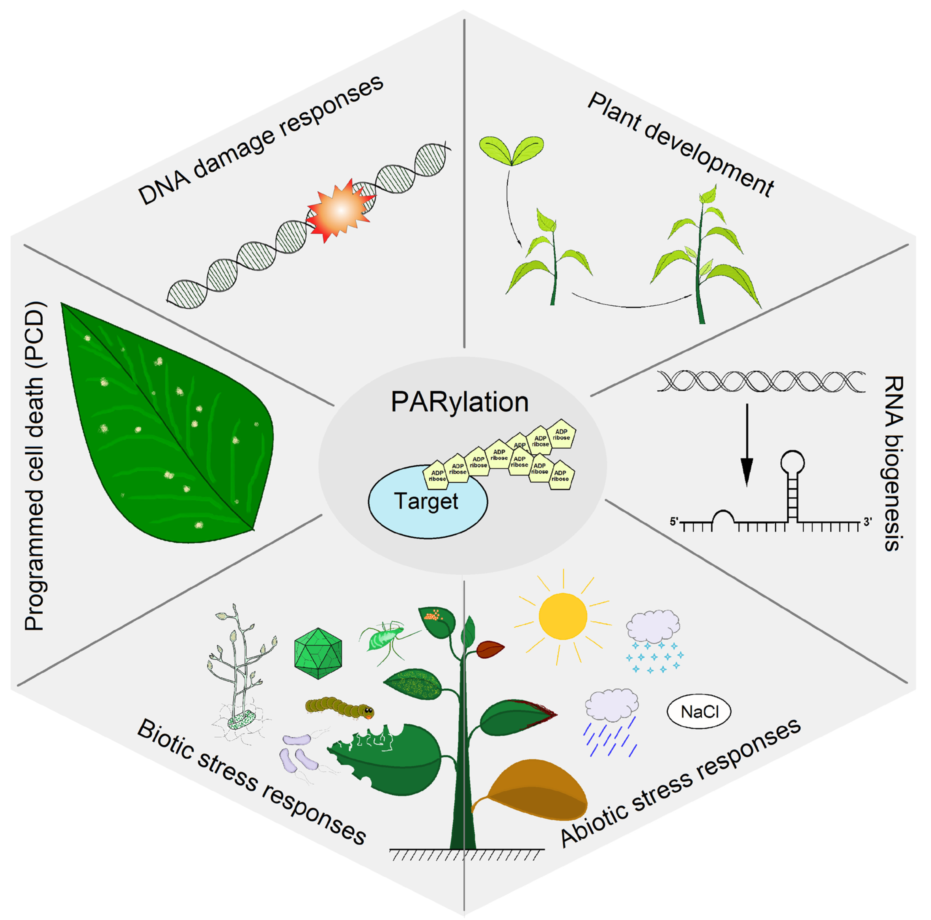 Viruses 15 00241 g002