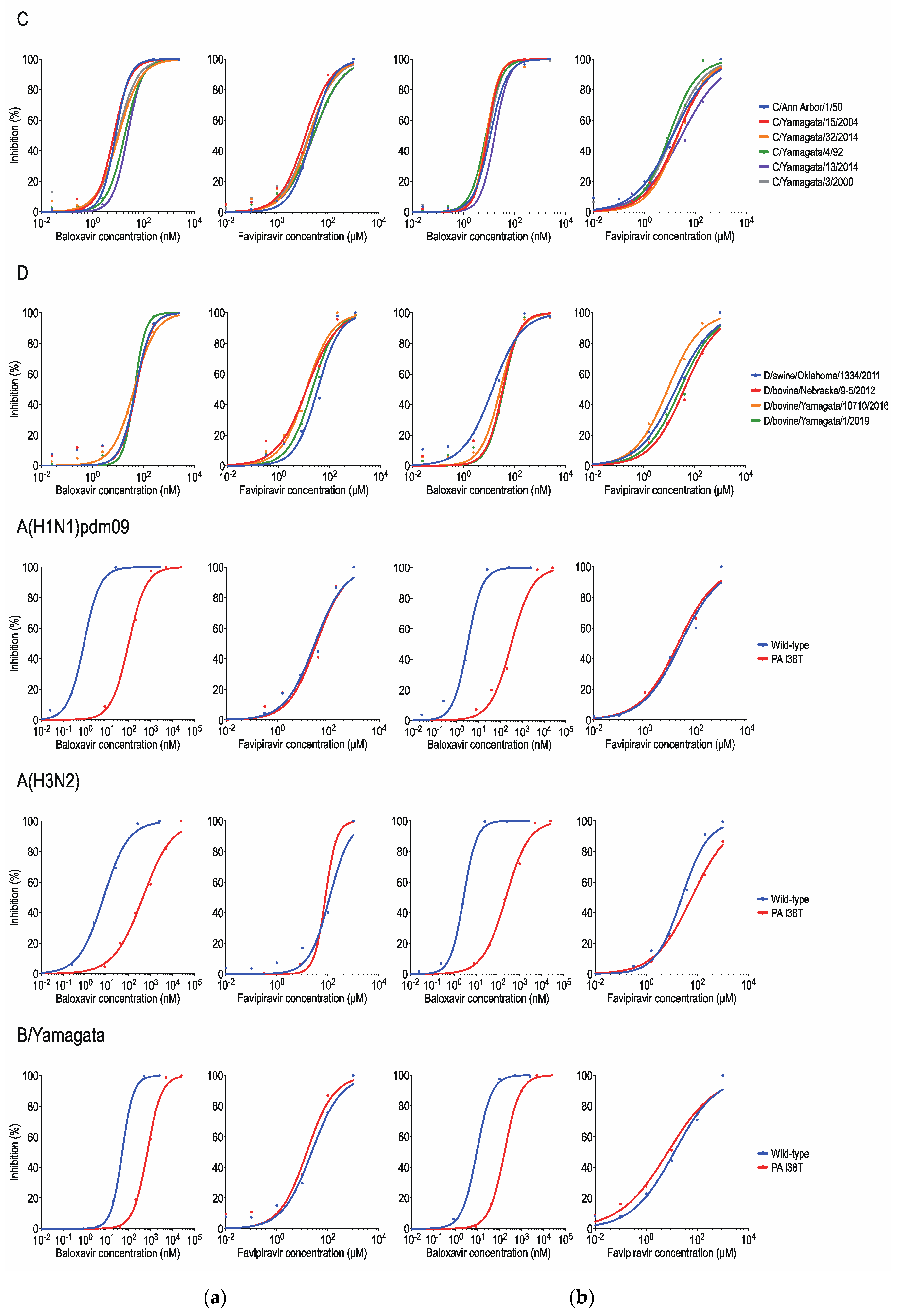 Viruses 15 00244 g001