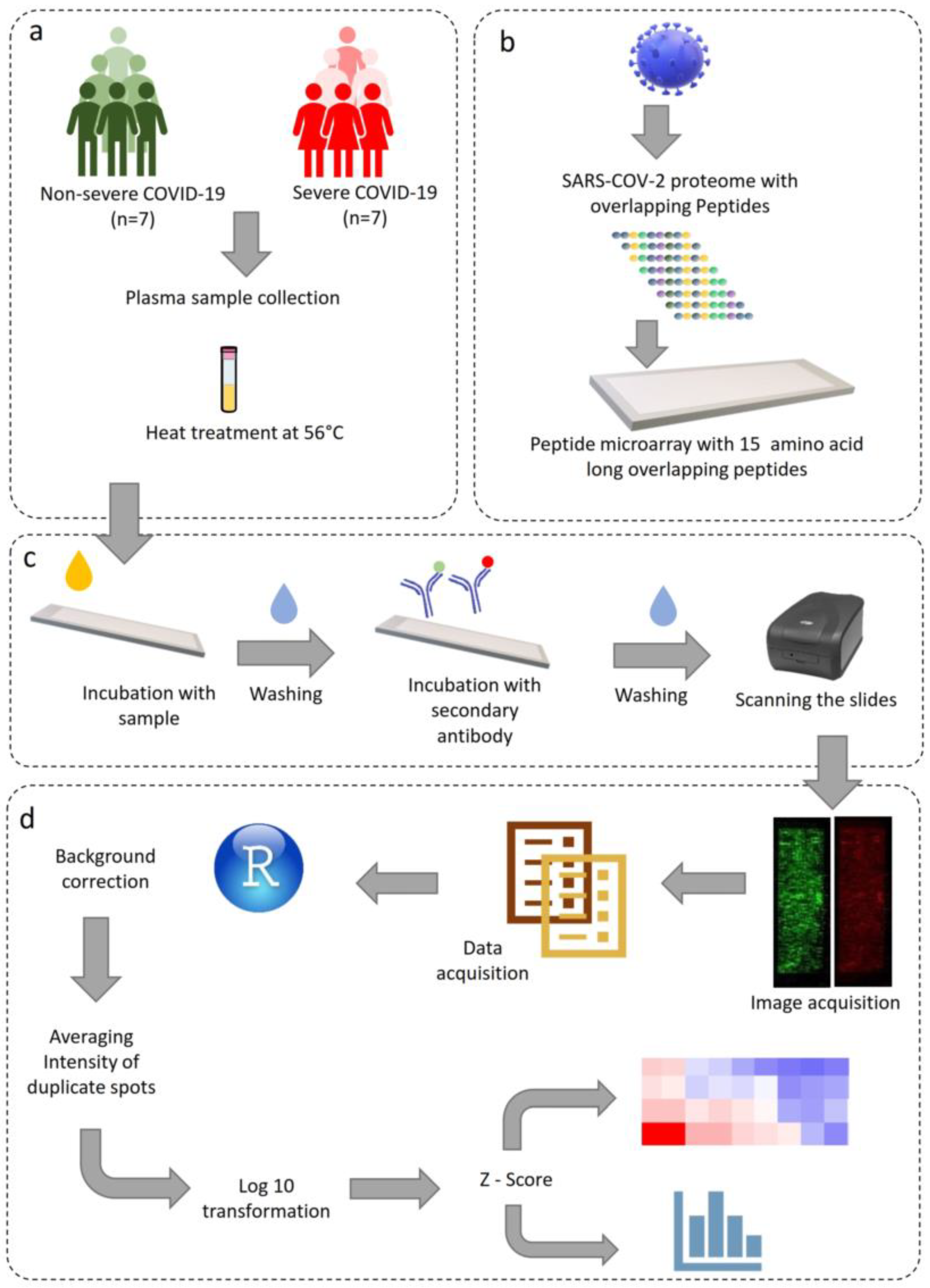 Viruses 15 00248 g001 Viruses 15 00248 g001