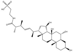 Viruses 15 00250 i004 Viruses 15 00250 i004