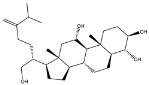 Viruses 15 00250 i014 Viruses 15 00250 i014