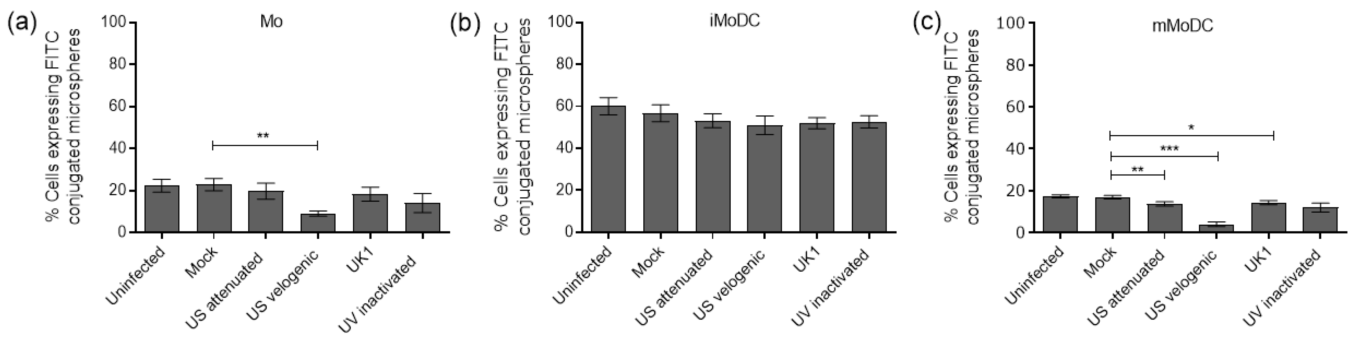 Viruses 15 00255 g009 Viruses 15 00255 g009