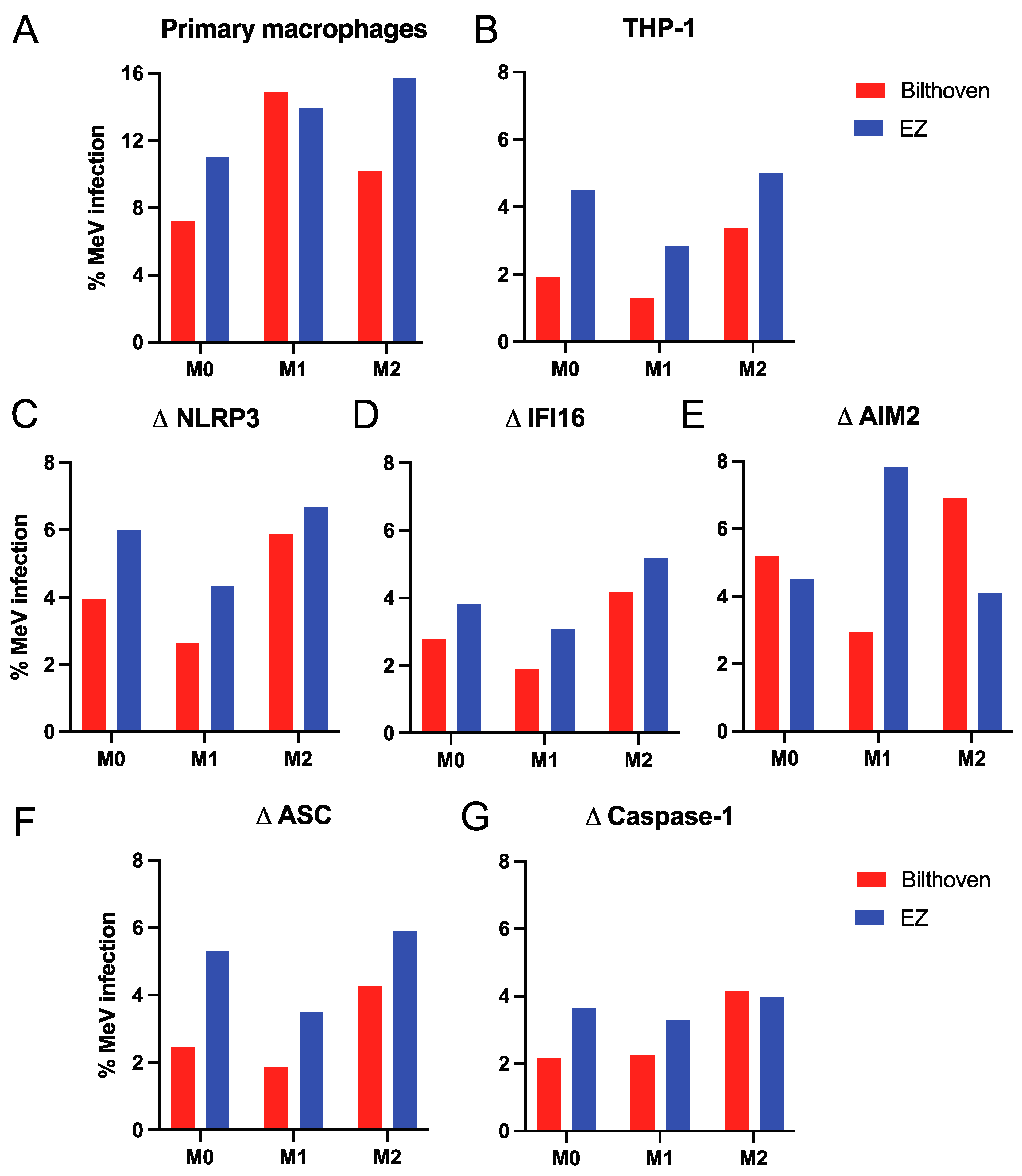 Viruses 15 00260 g001