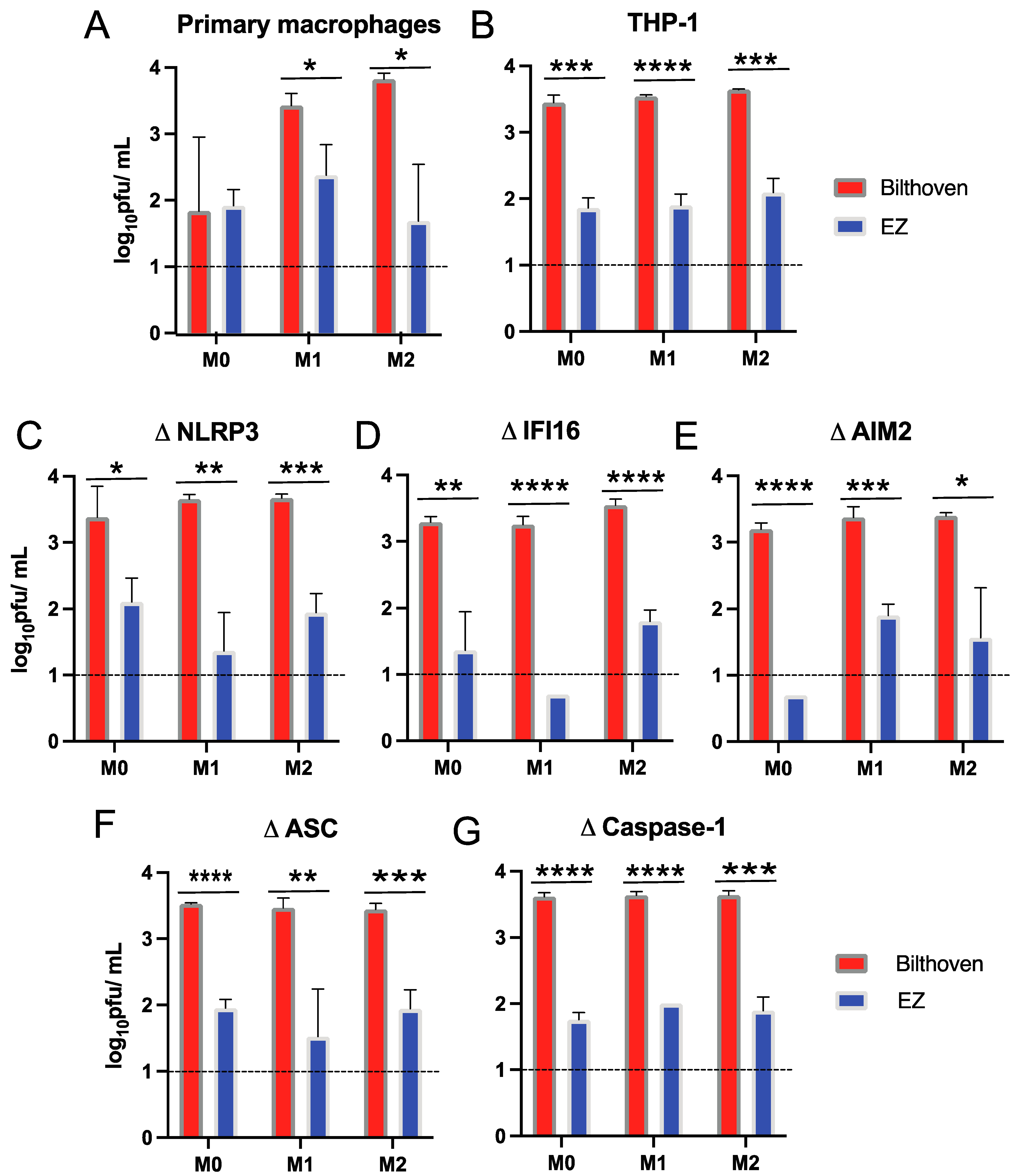 Viruses 15 00260 g002
