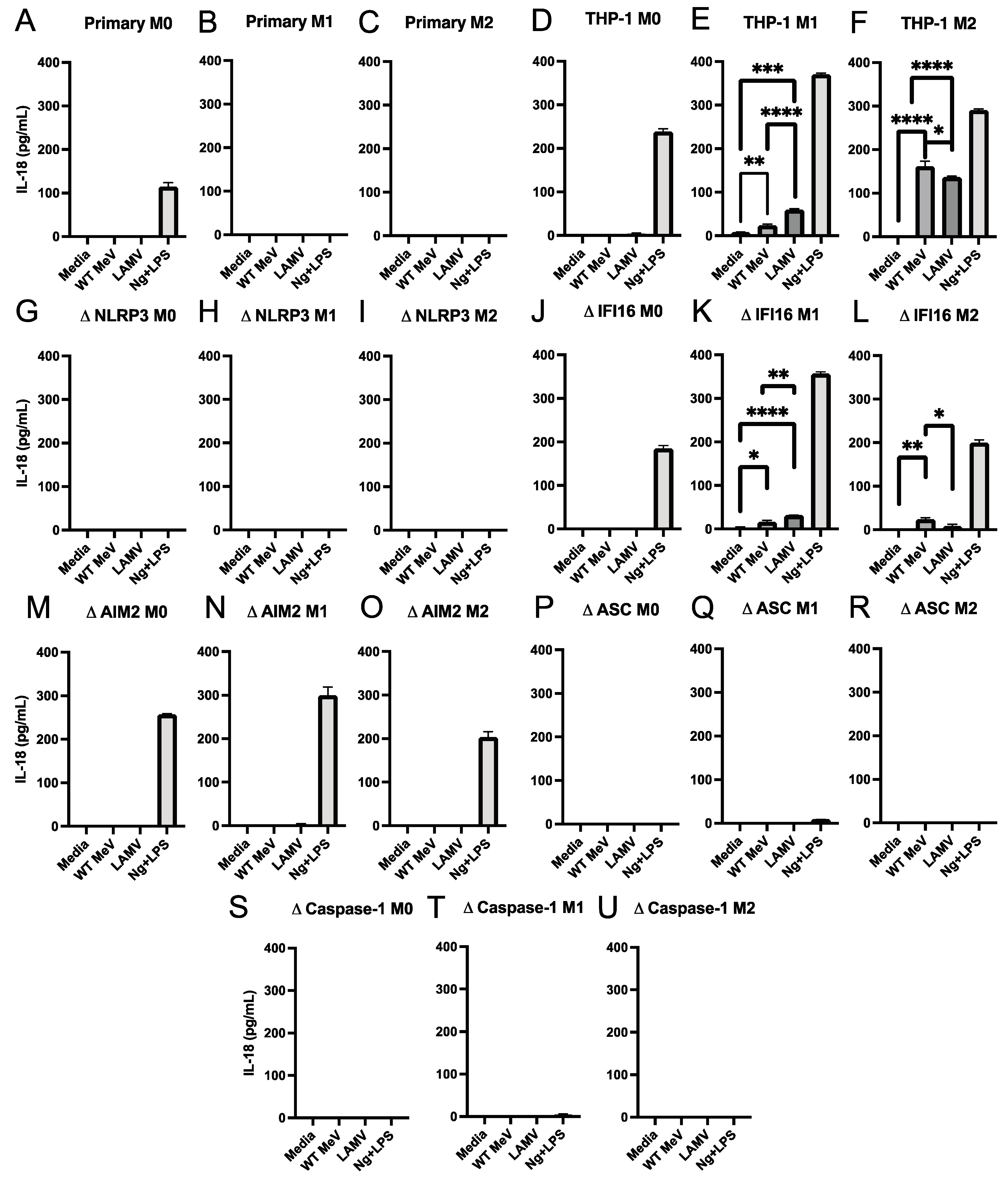 Viruses 15 00260 g003