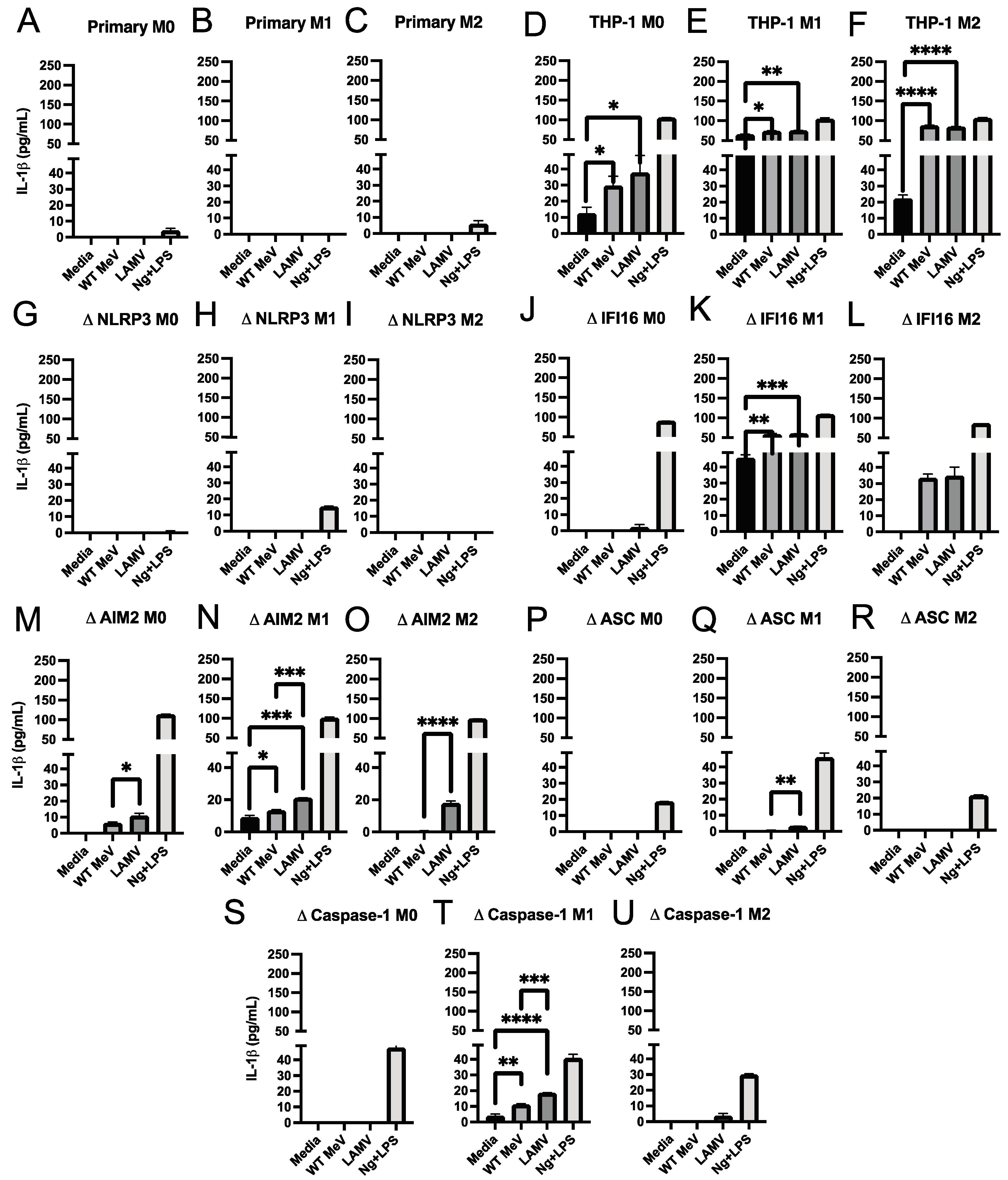 Viruses 15 00260 g004