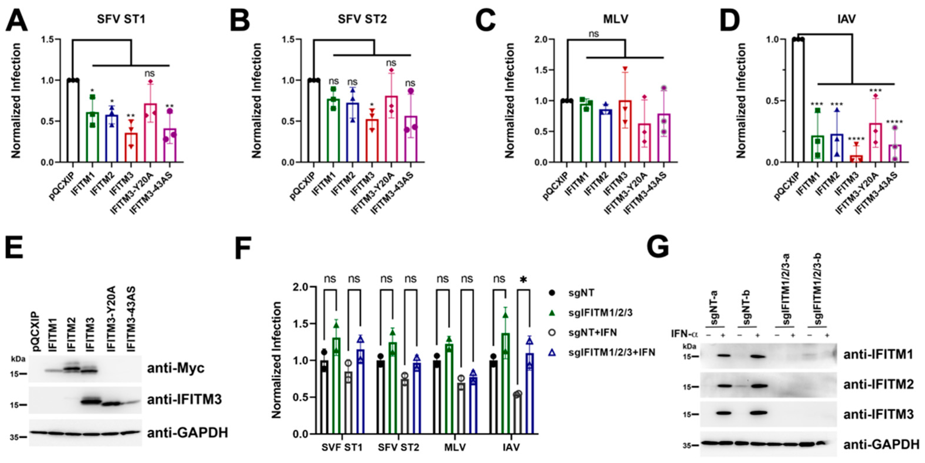 Viruses 15 00262 g007 Viruses 15 00262 g007