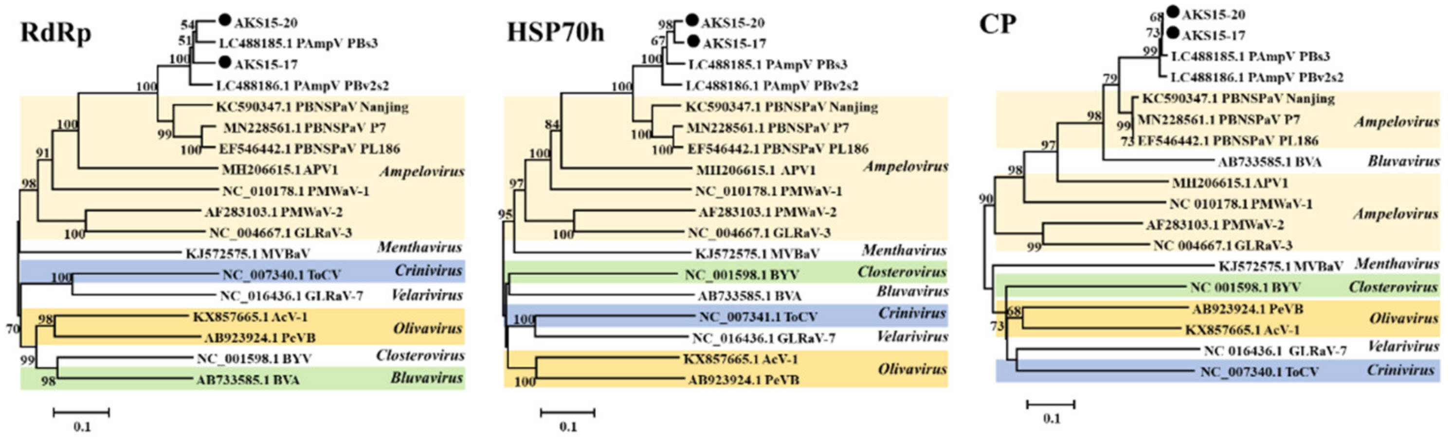 Viruses 15 00267 g003