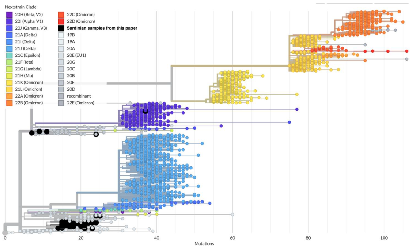 Viruses 15 00277 g005 Viruses 15 00277 g005