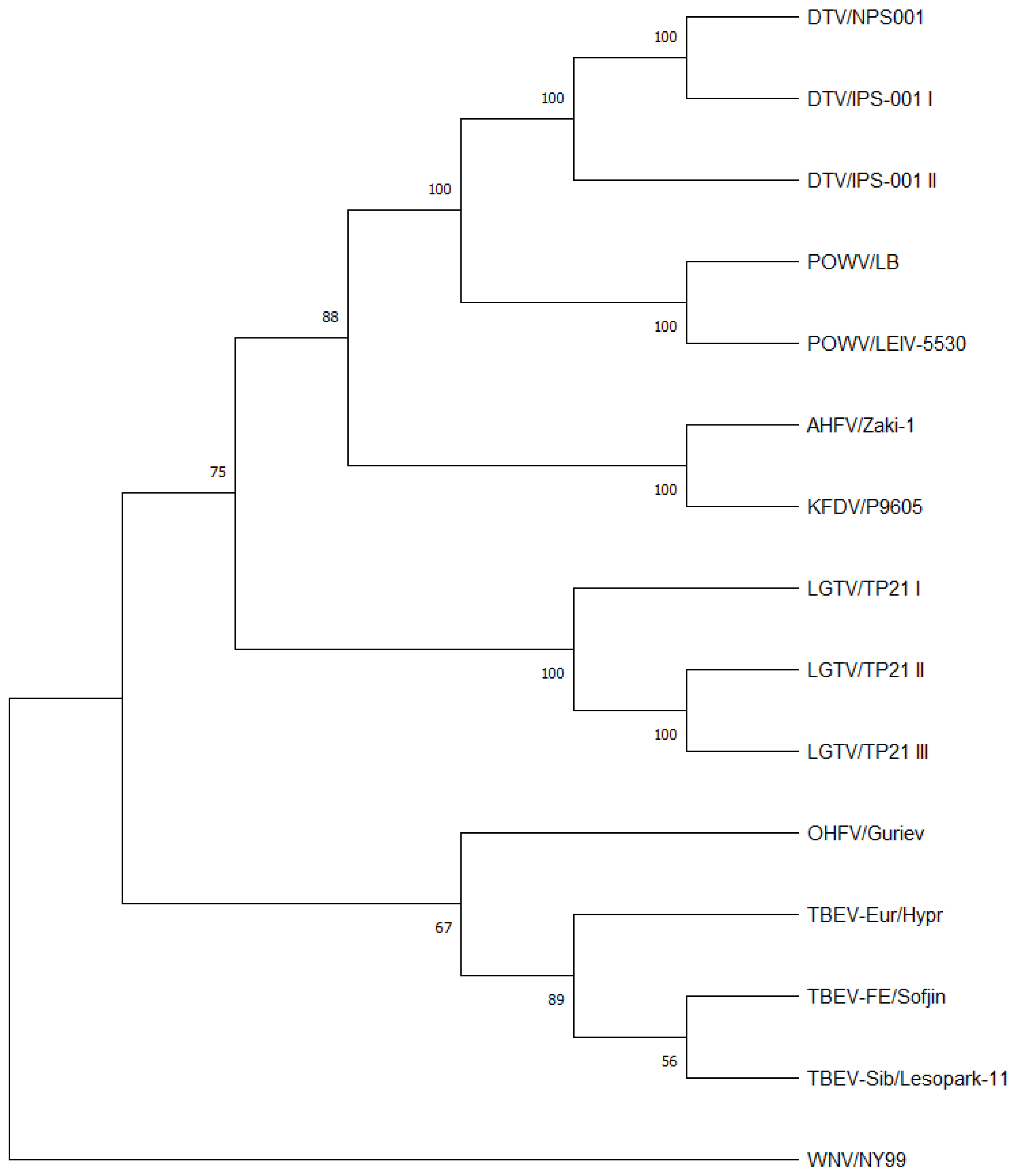 Viruses 15 00281 g001 Viruses 15 00281 g001