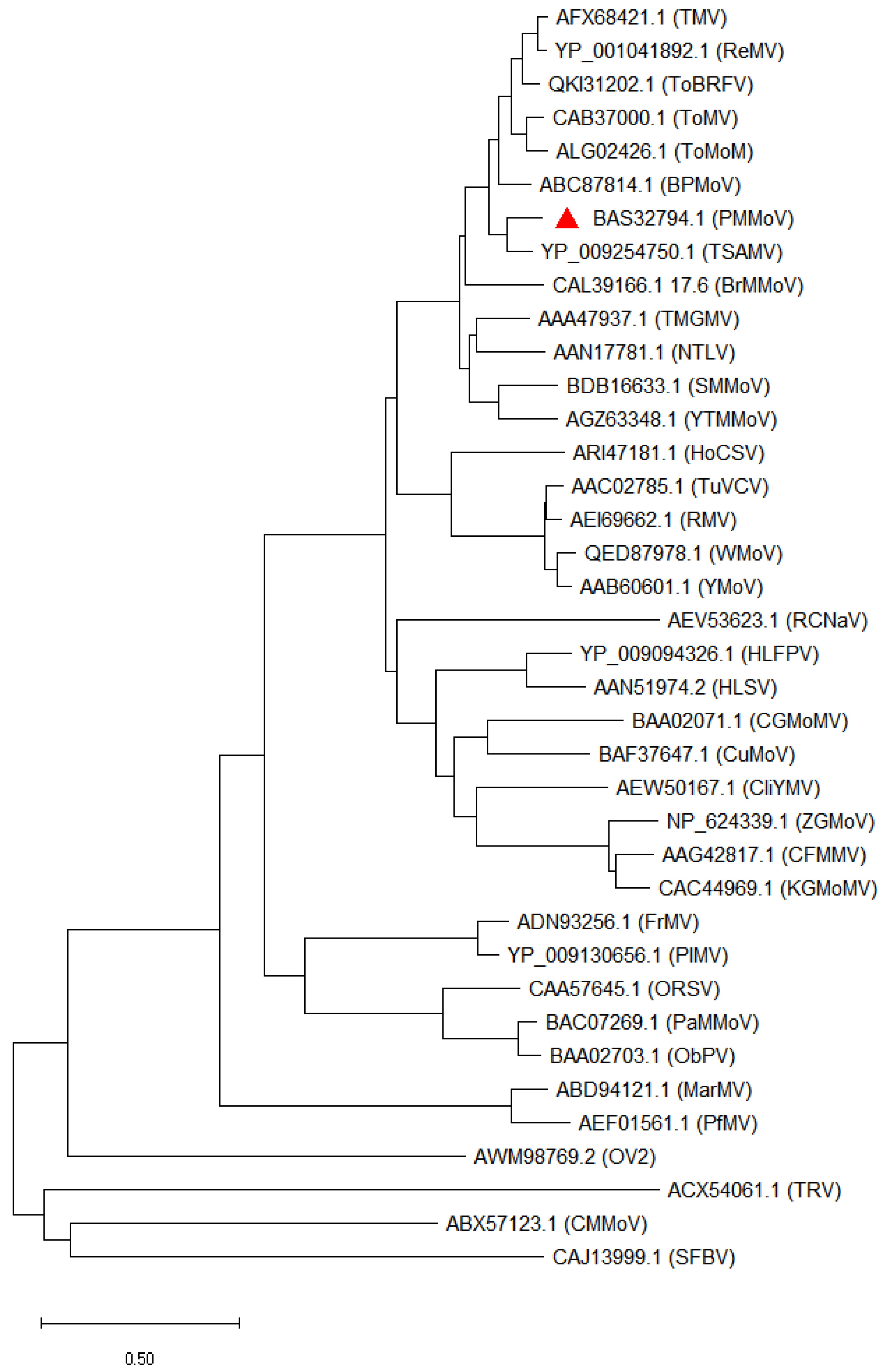 Viruses 15 00282 g001 Viruses 15 00282 g001