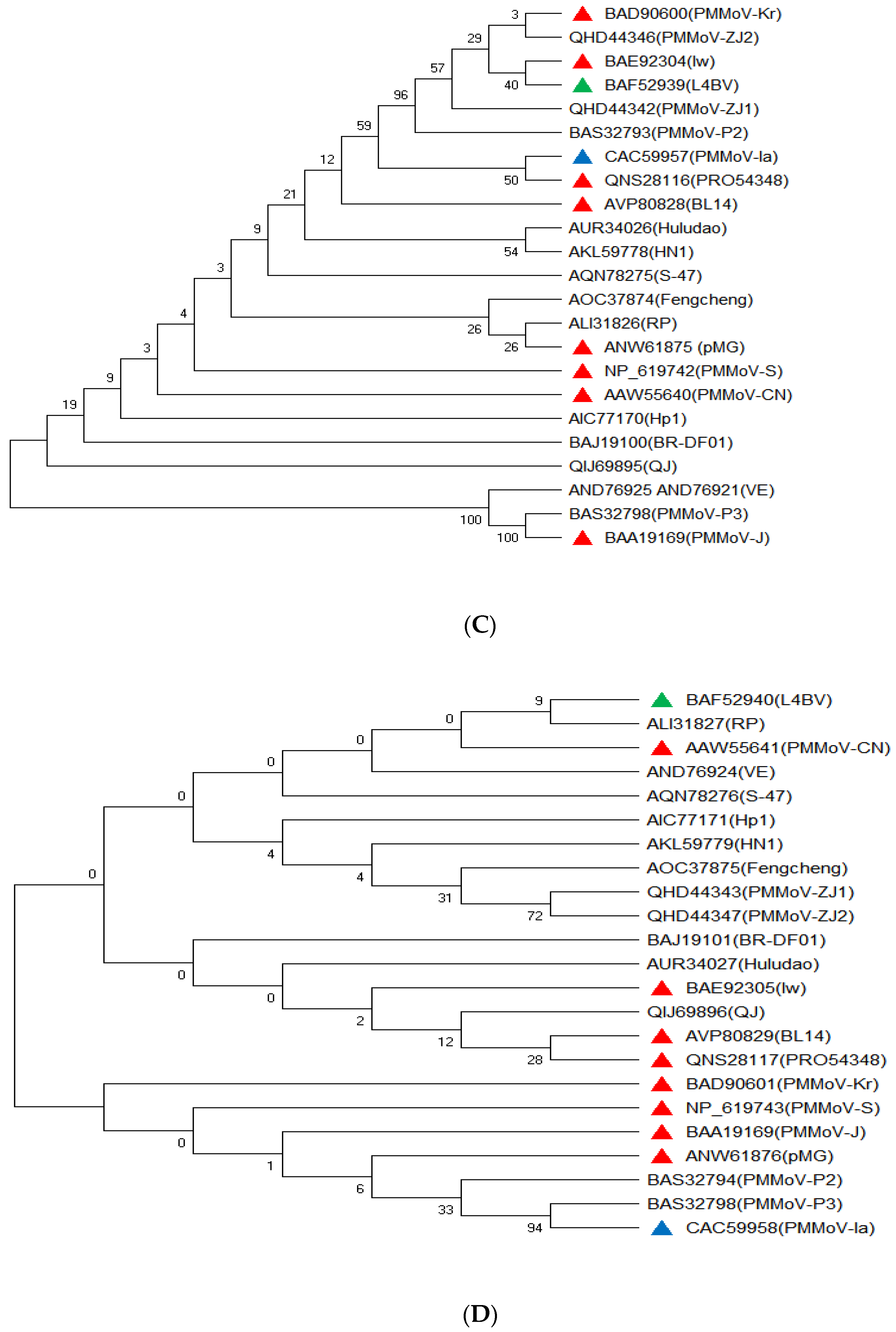 Viruses 15 00282 g002b Viruses 15 00282 g002b