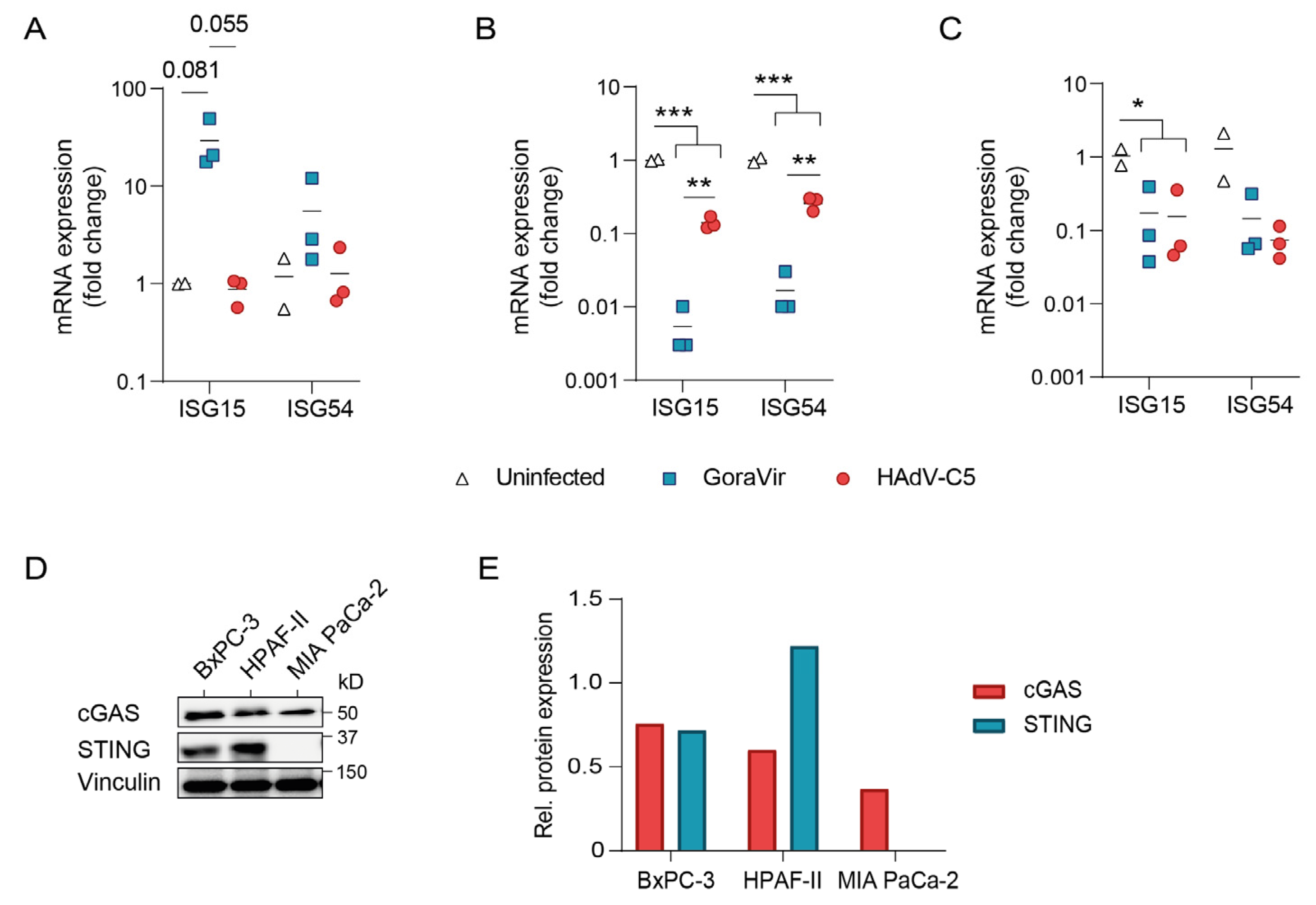 Viruses 15 00283 g004 Viruses 15 00283 g004