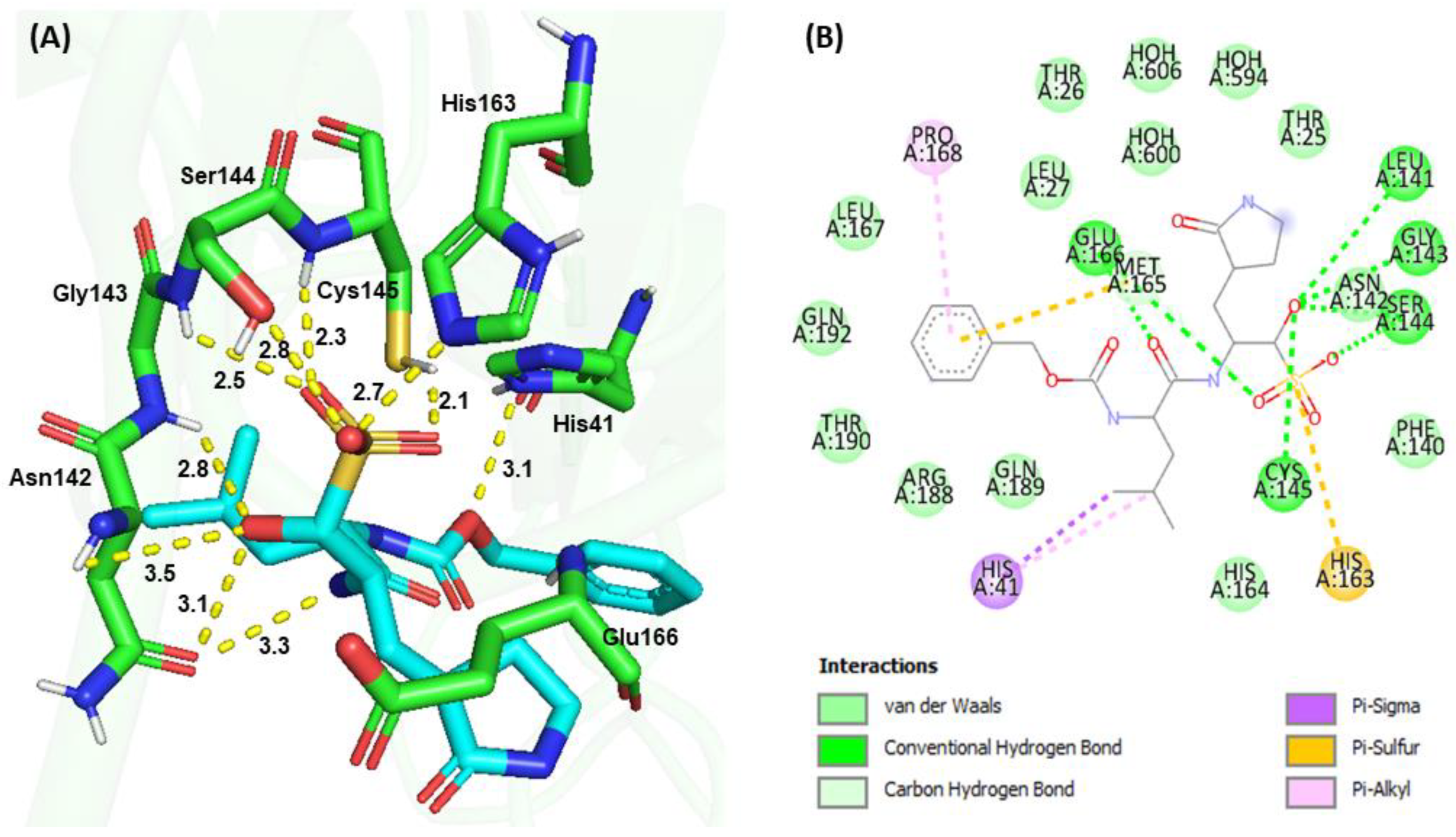 Viruses 15 00287 g005