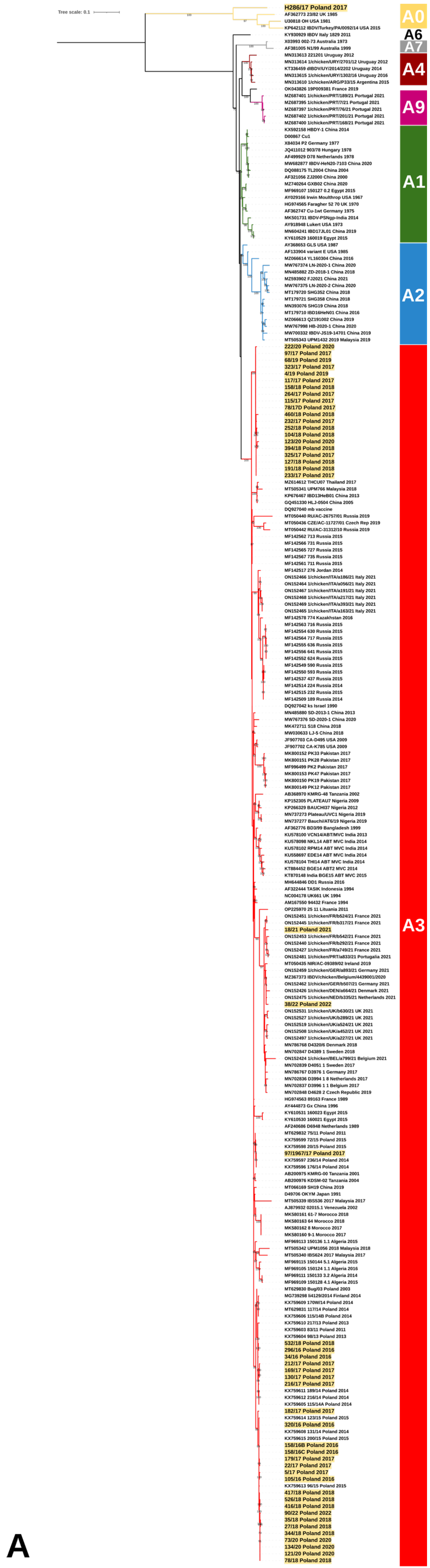 Viruses 15 00289 g001a