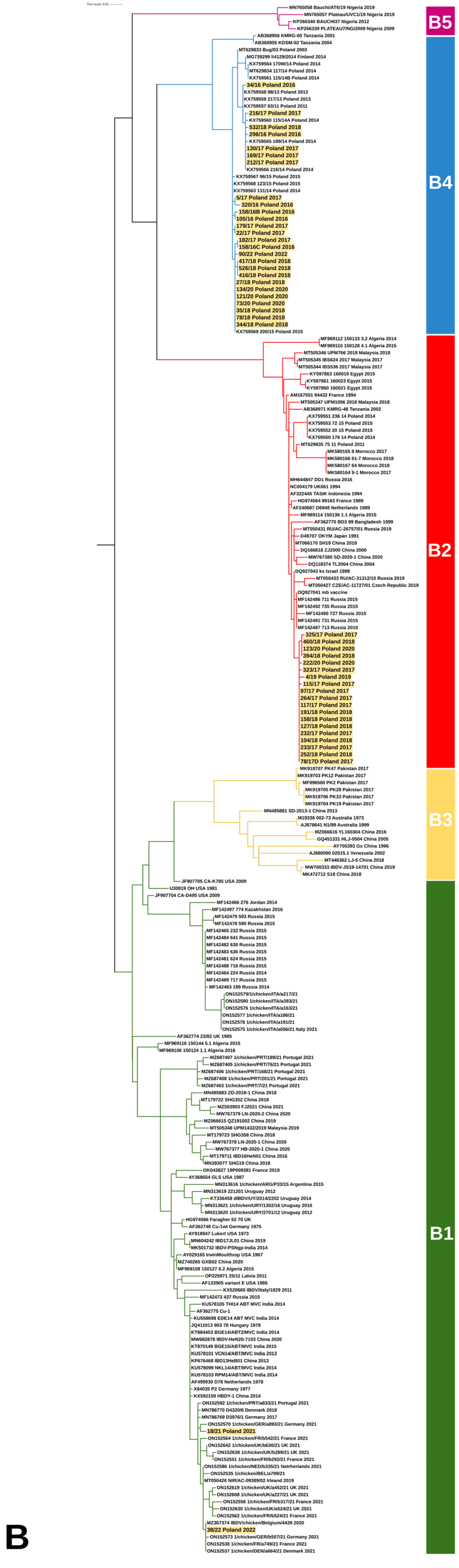 Viruses 15 00289 g001b