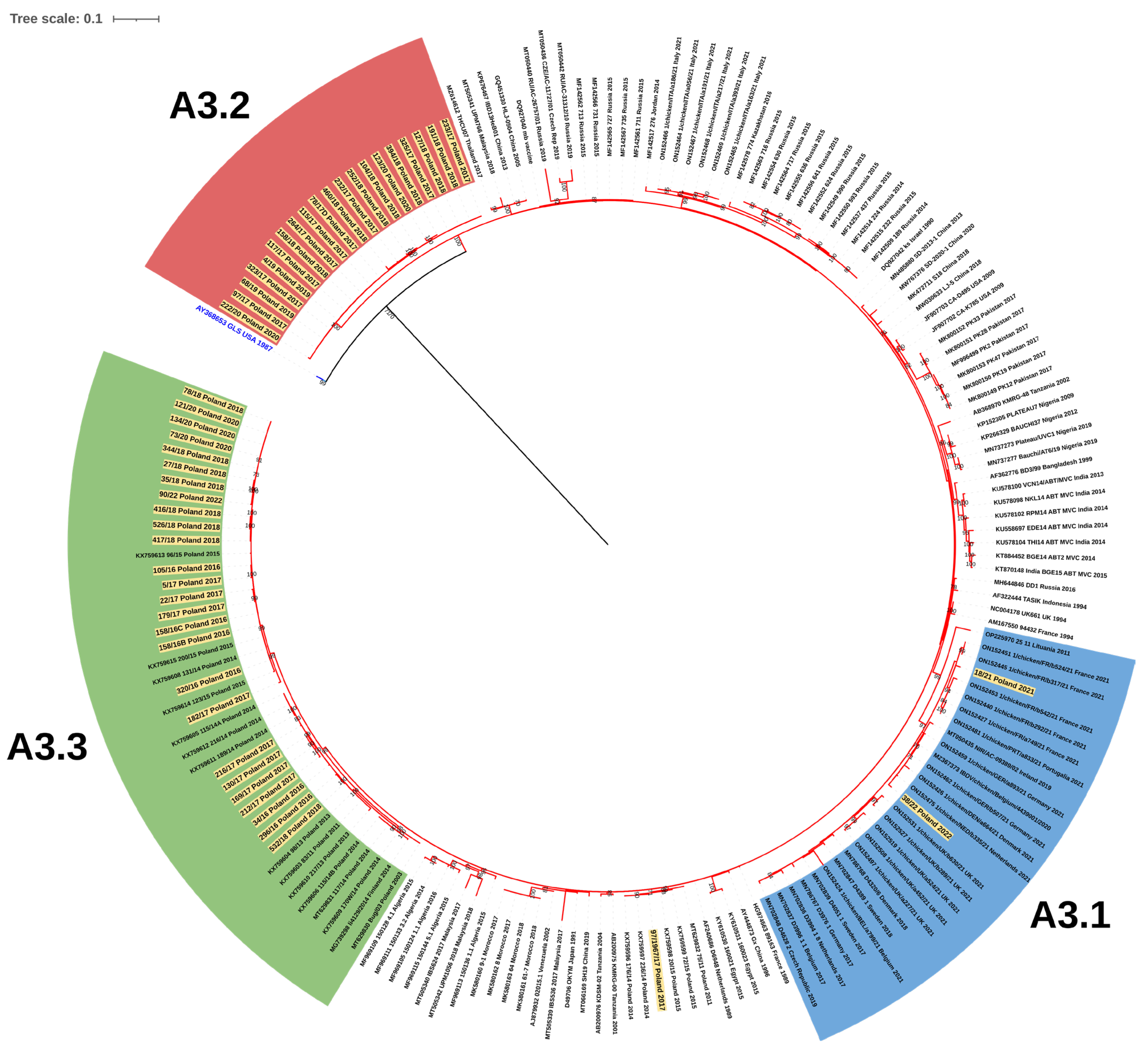 Viruses 15 00289 g003
