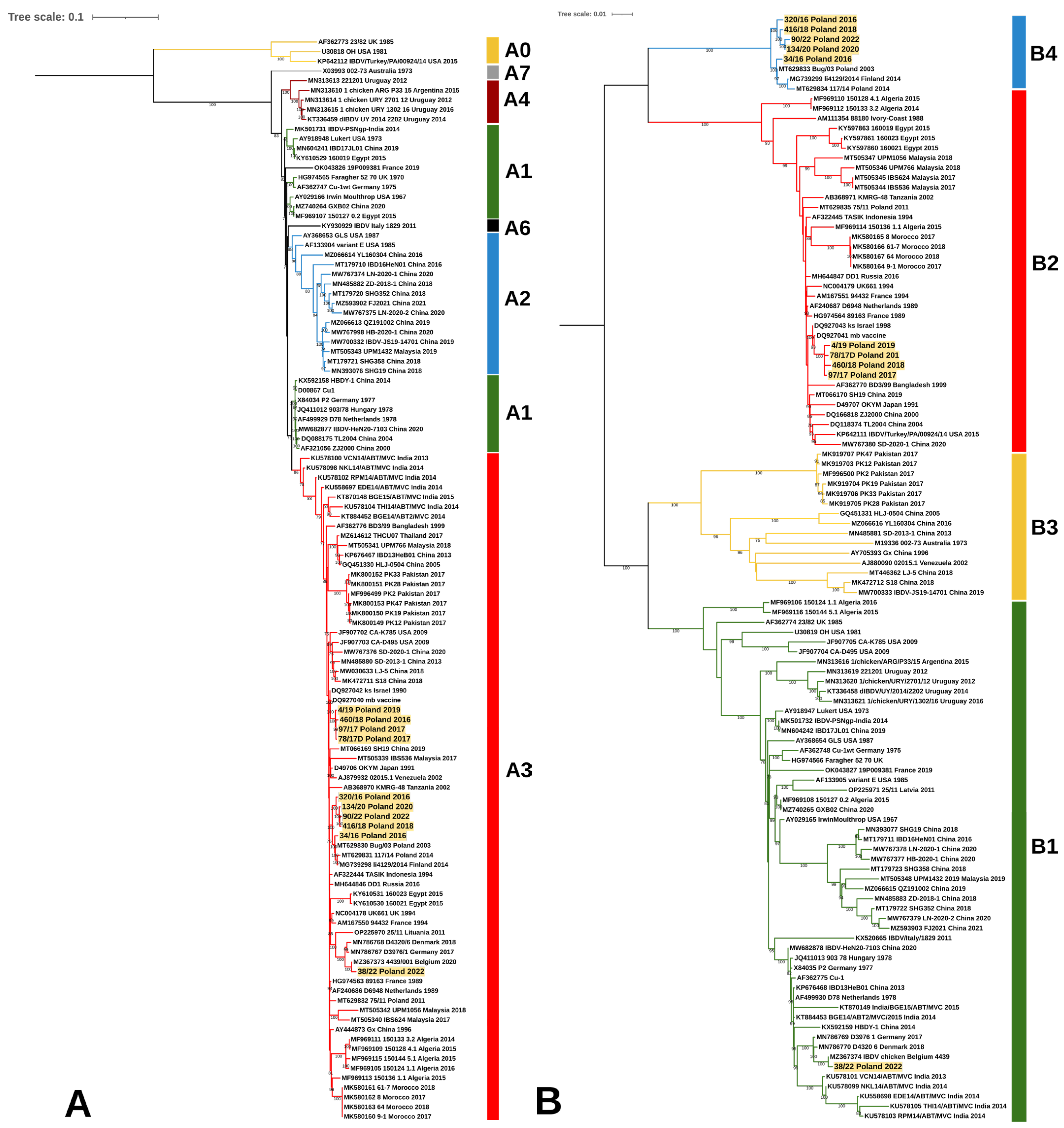 Viruses 15 00289 g006