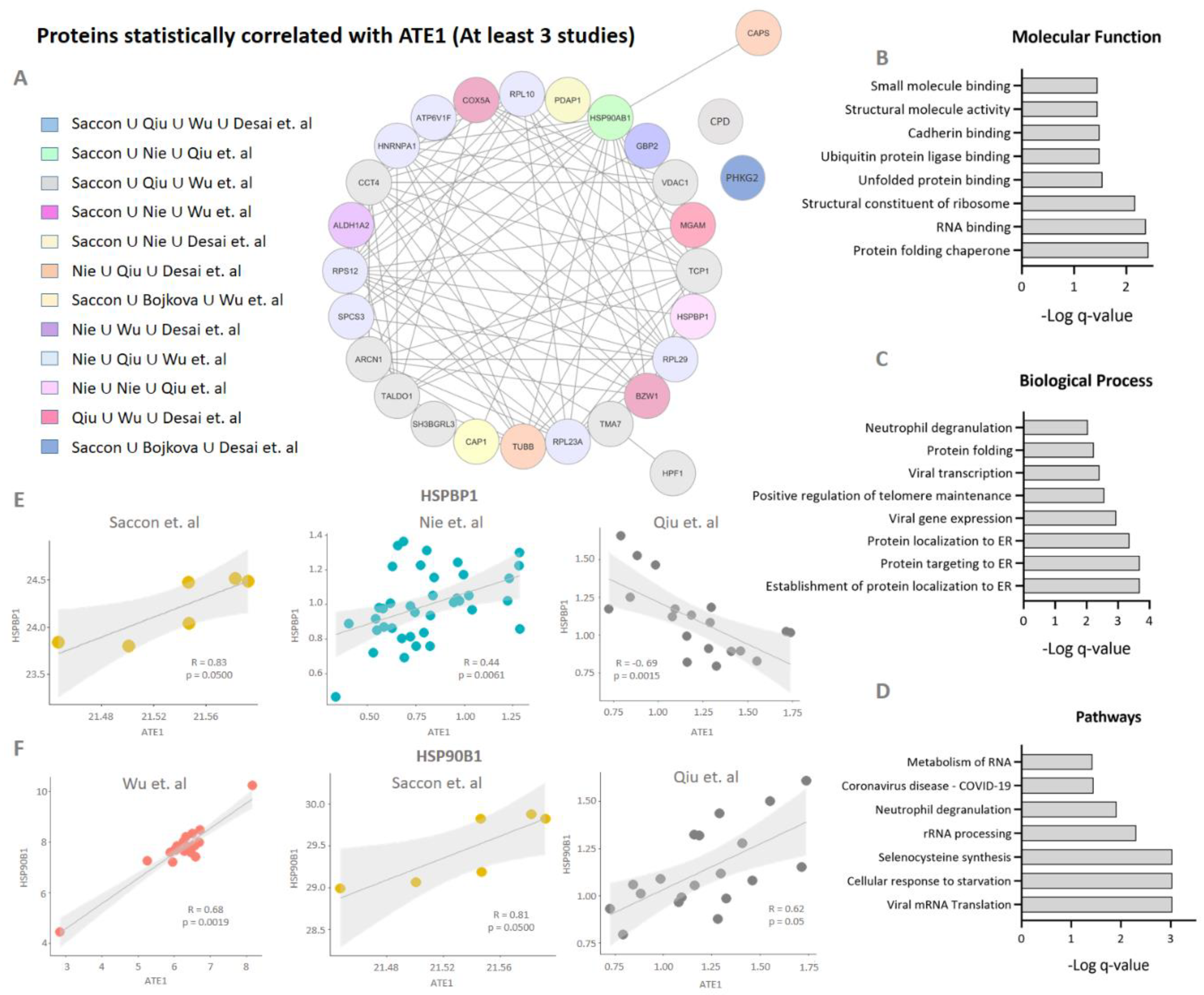 Viruses 15 00290 g003 Viruses 15 00290 g003