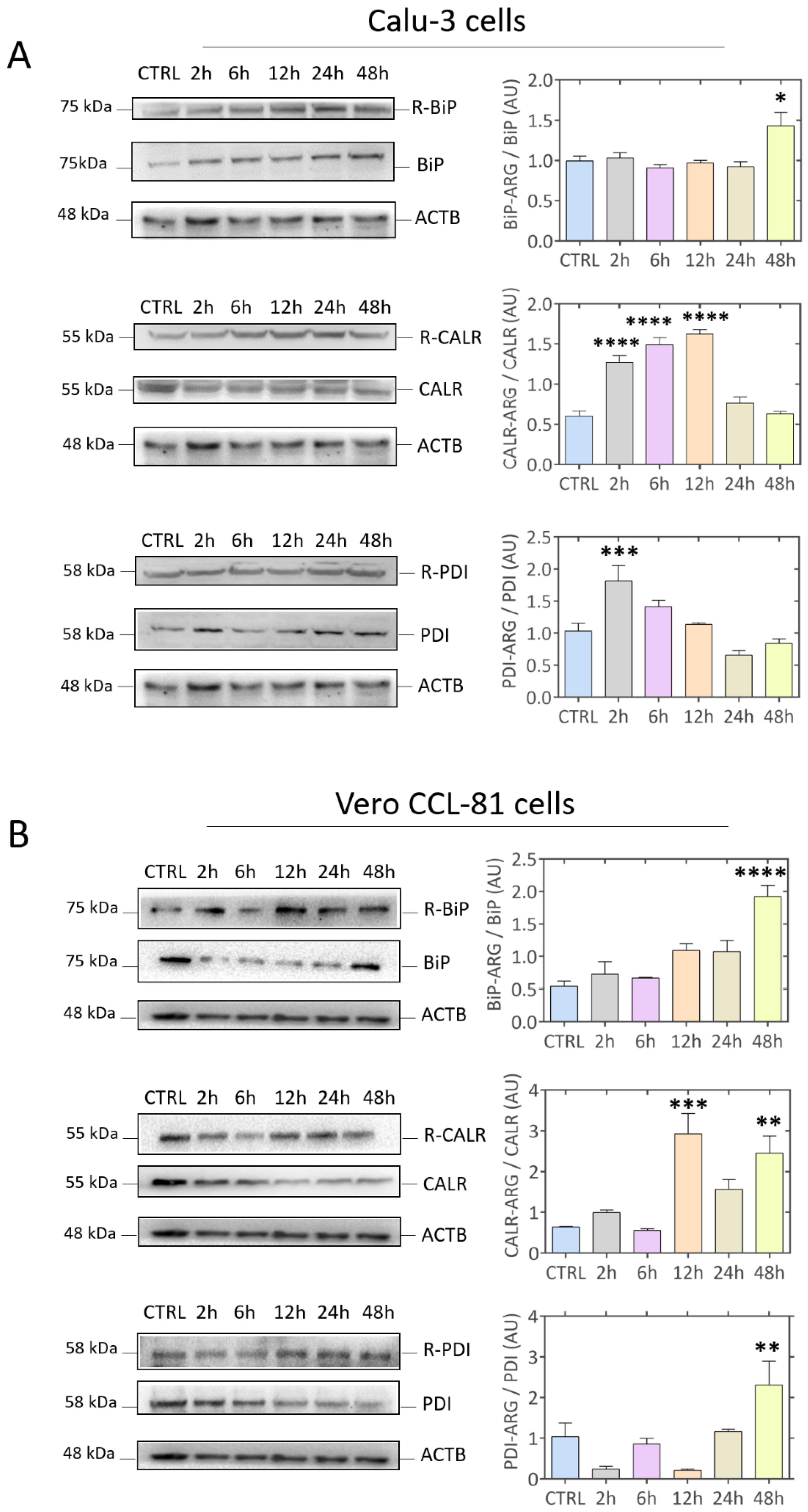 Viruses 15 00290 g004 Viruses 15 00290 g004