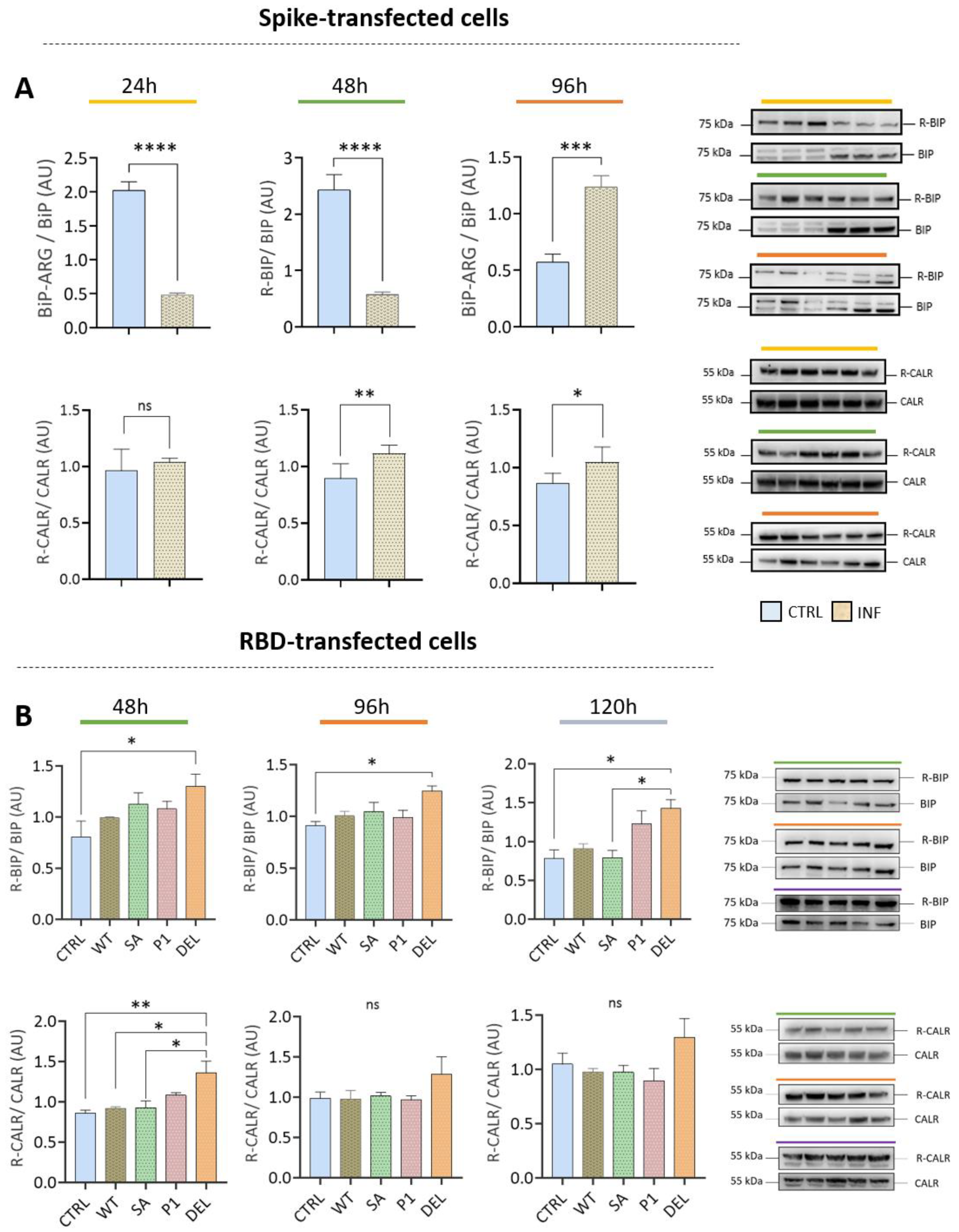 Viruses 15 00290 g006 Viruses 15 00290 g006