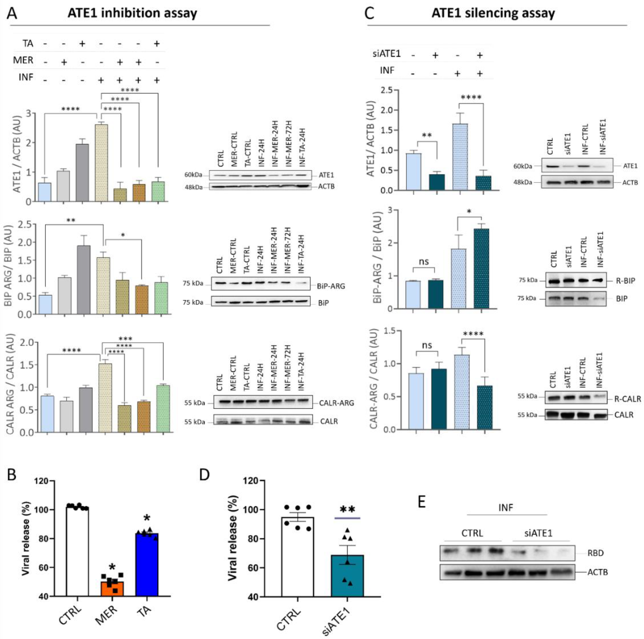 Viruses 15 00290 g007 Viruses 15 00290 g007