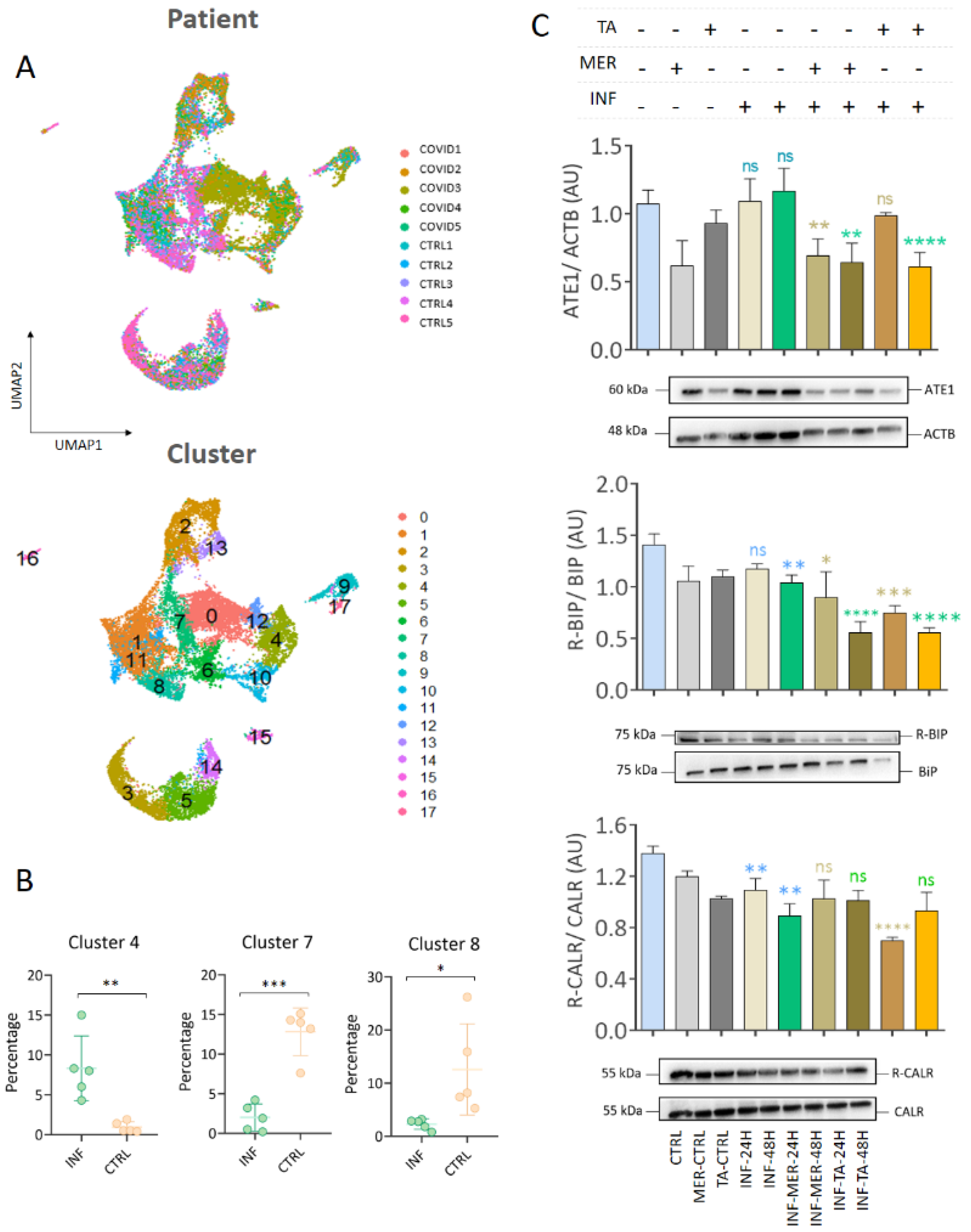 Viruses 15 00290 g008 Viruses 15 00290 g008