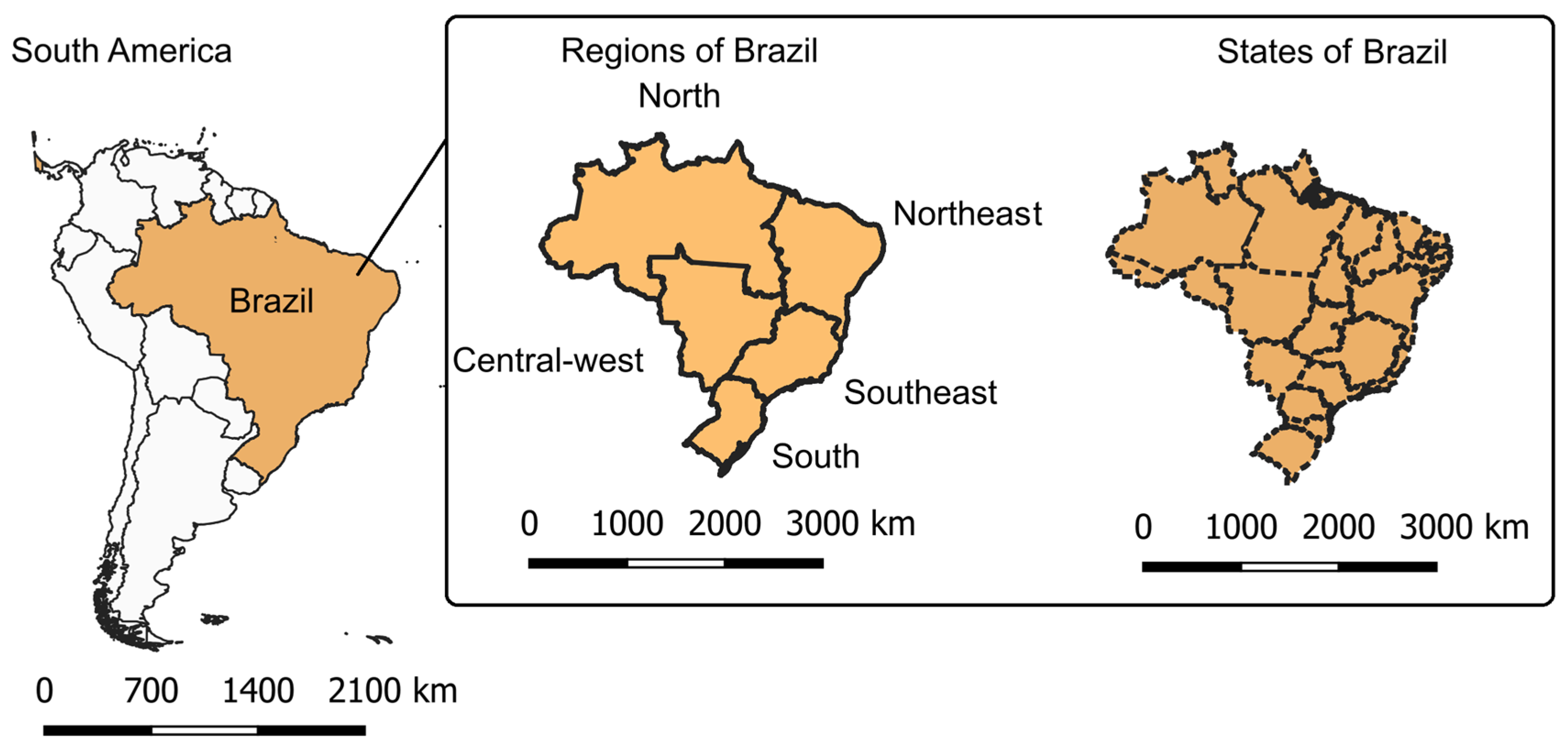 Viruses 15 00292 g001