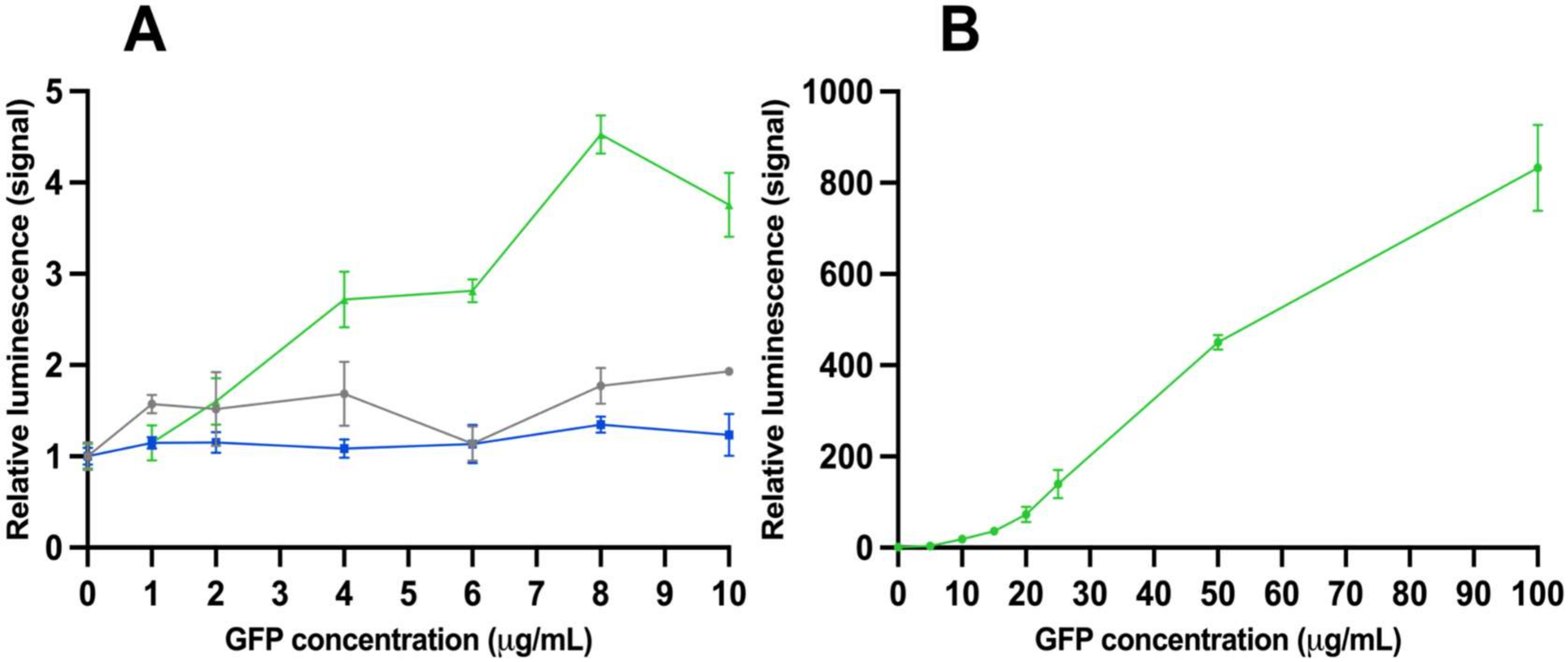 Viruses 15 00299 g001 Viruses 15 00299 g001