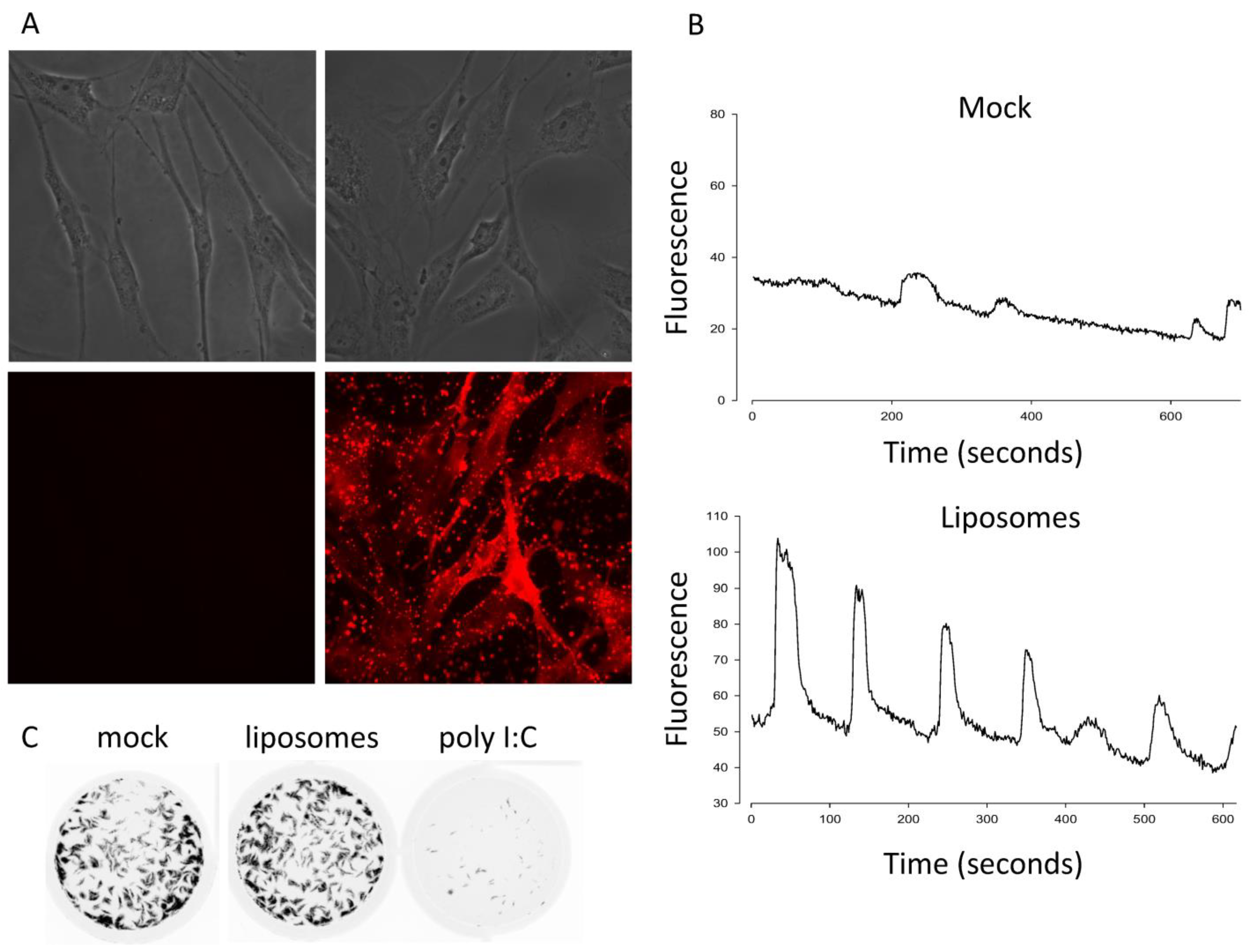 Viruses 15 00301 g001 Viruses 15 00301 g001