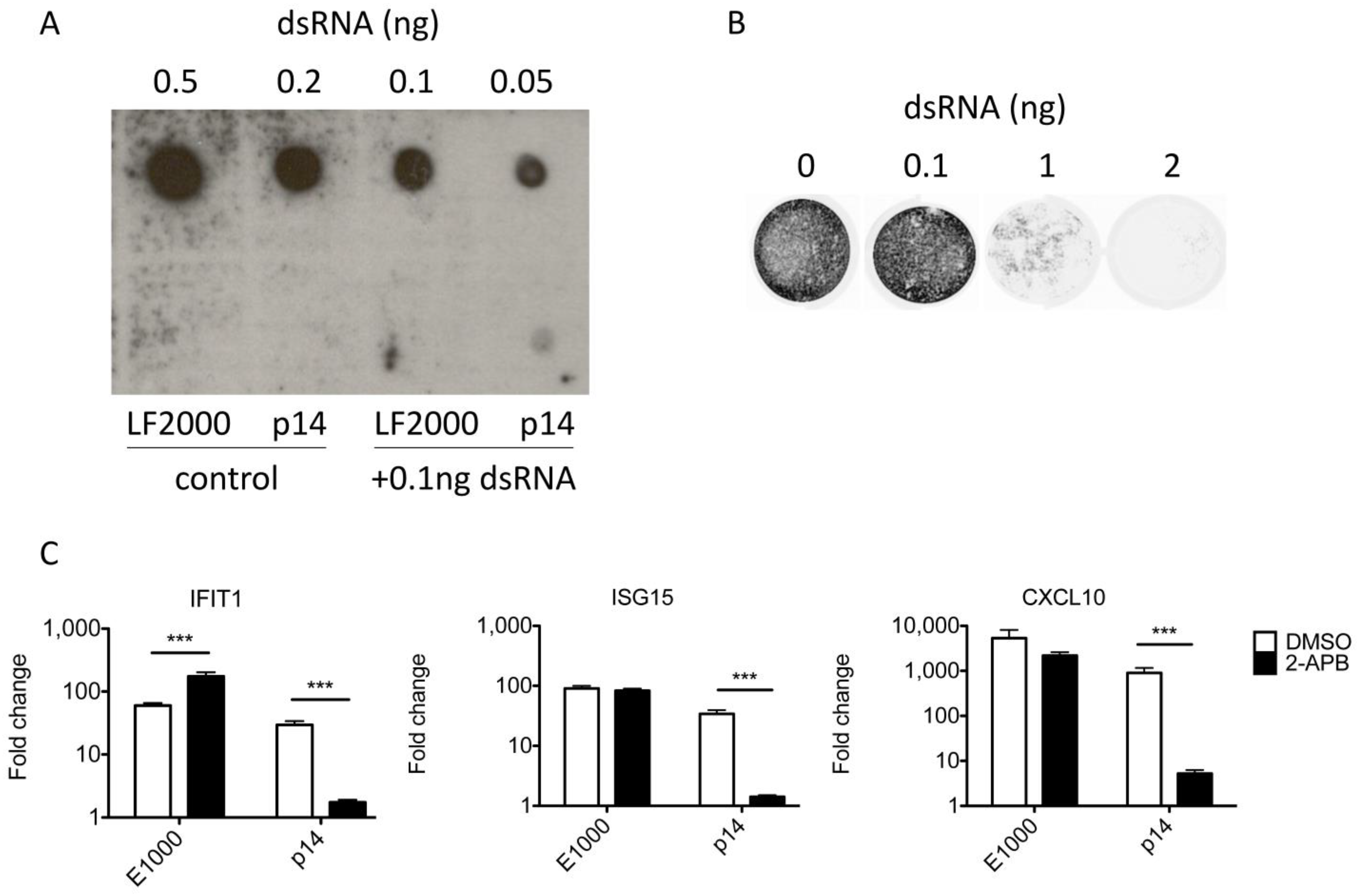 Viruses 15 00301 g004 Viruses 15 00301 g004