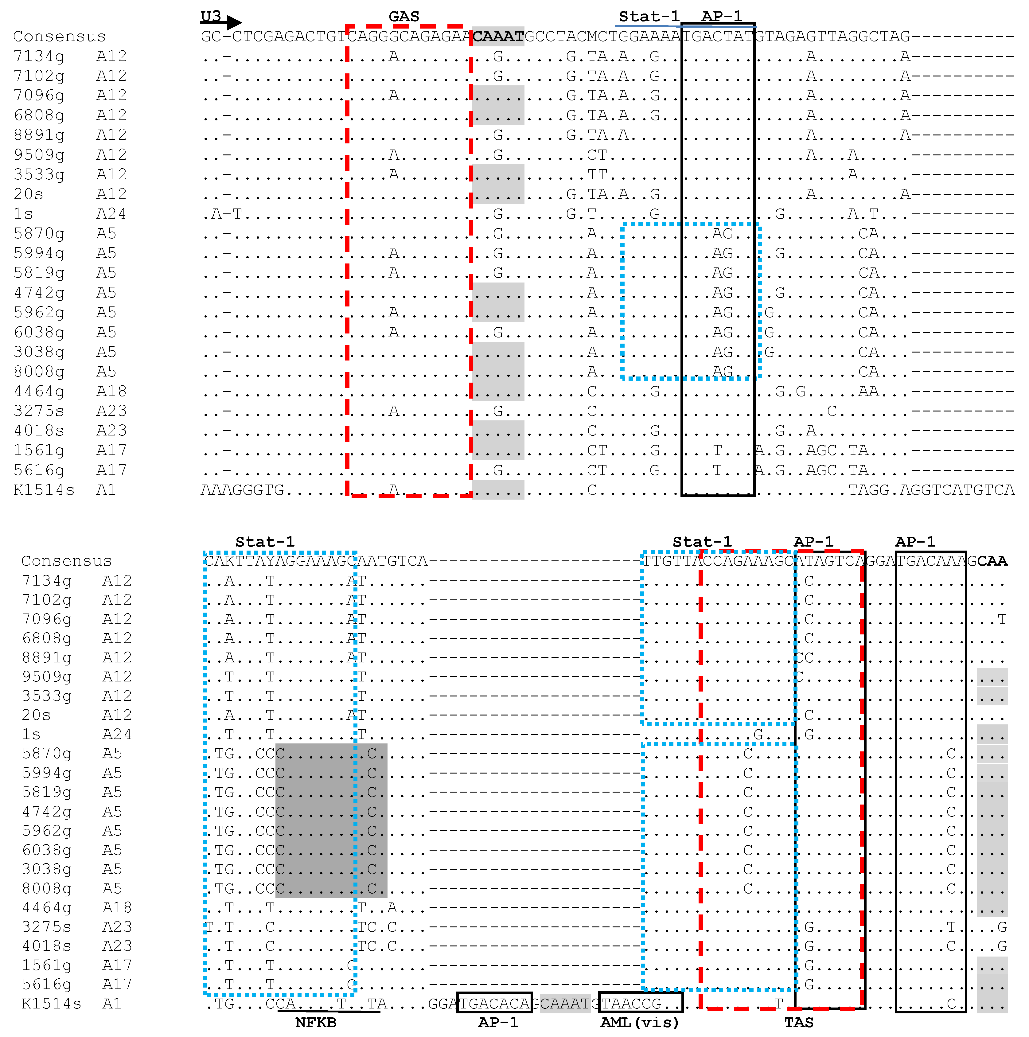 Viruses 15 00302 g002a