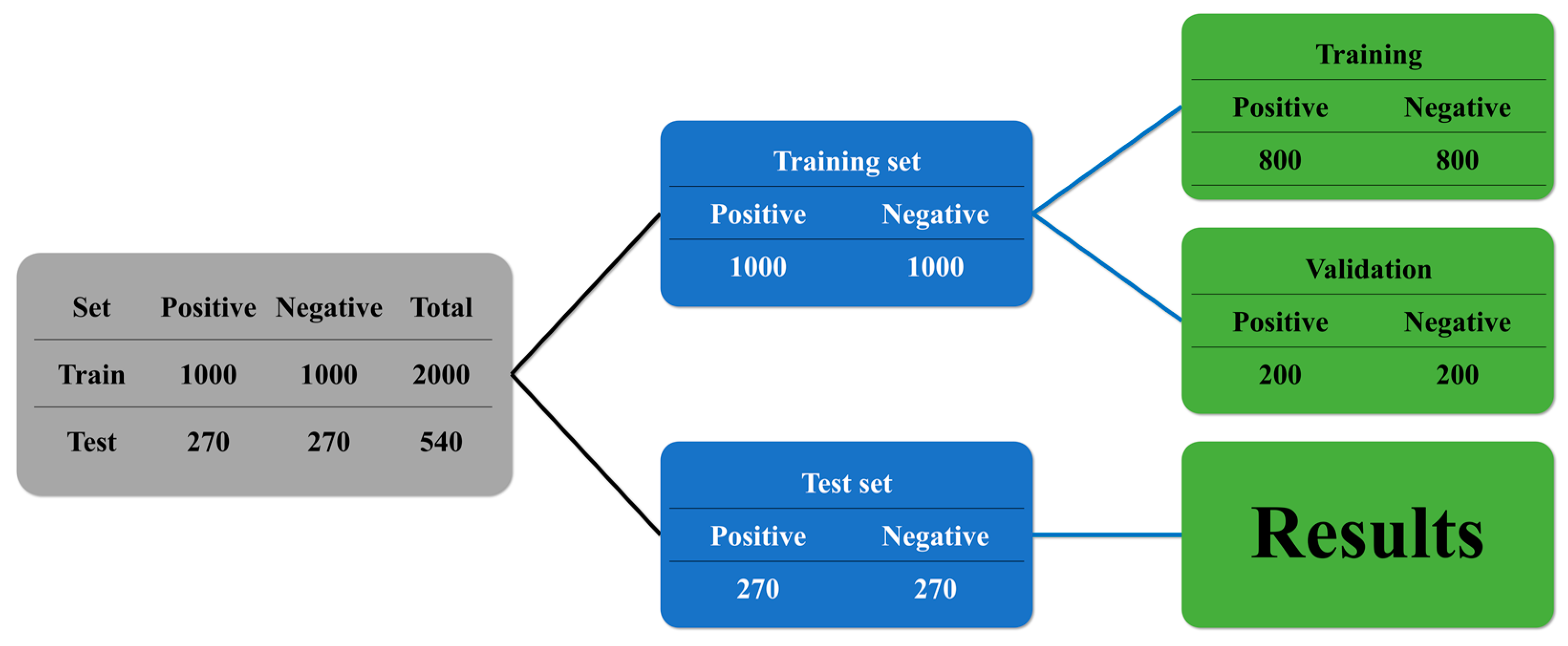 Viruses 15 00304 g003 Viruses 15 00304 g003