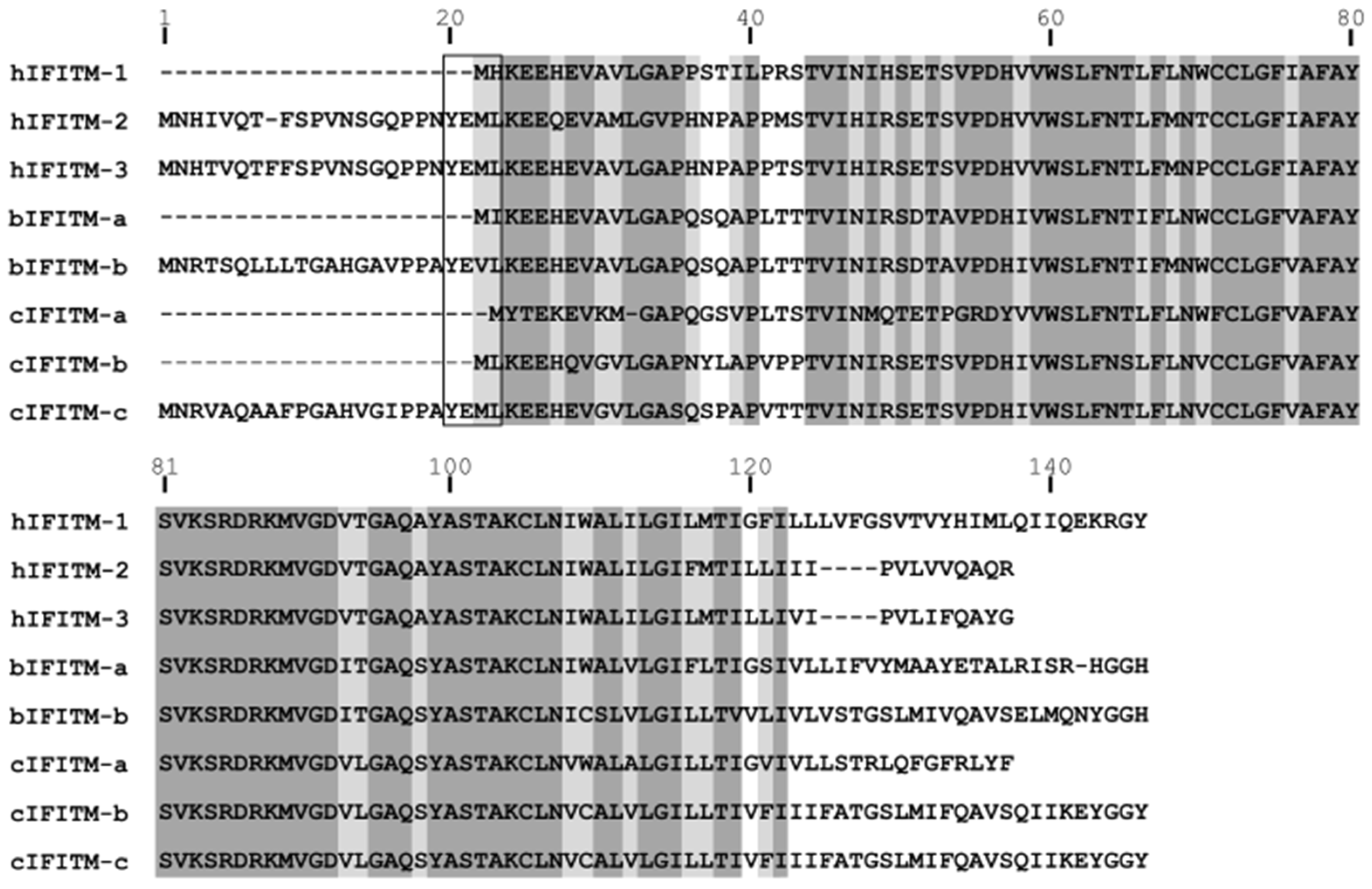 Viruses 15 00306 g001 Viruses 15 00306 g001