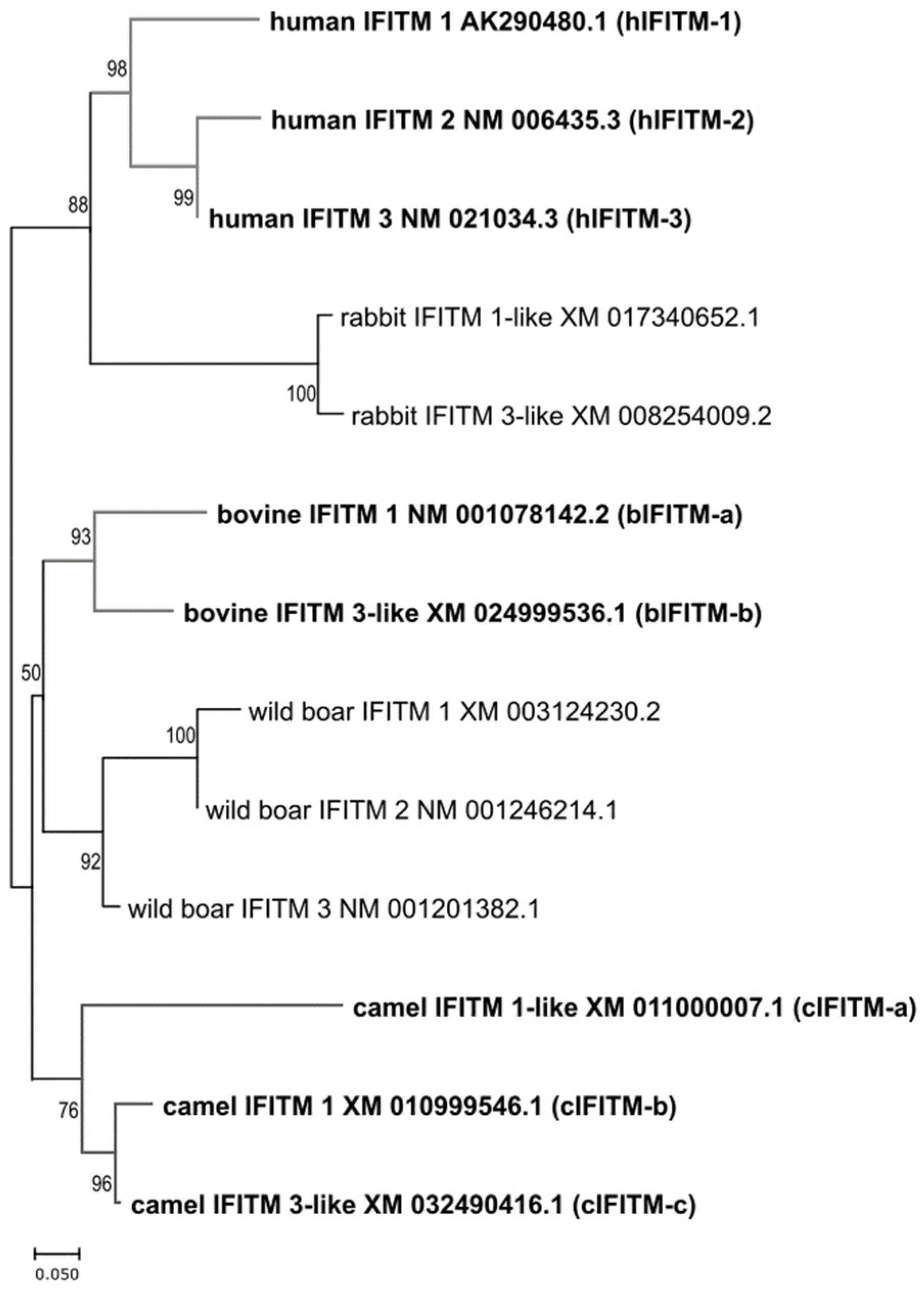 Viruses 15 00306 g002 Viruses 15 00306 g002