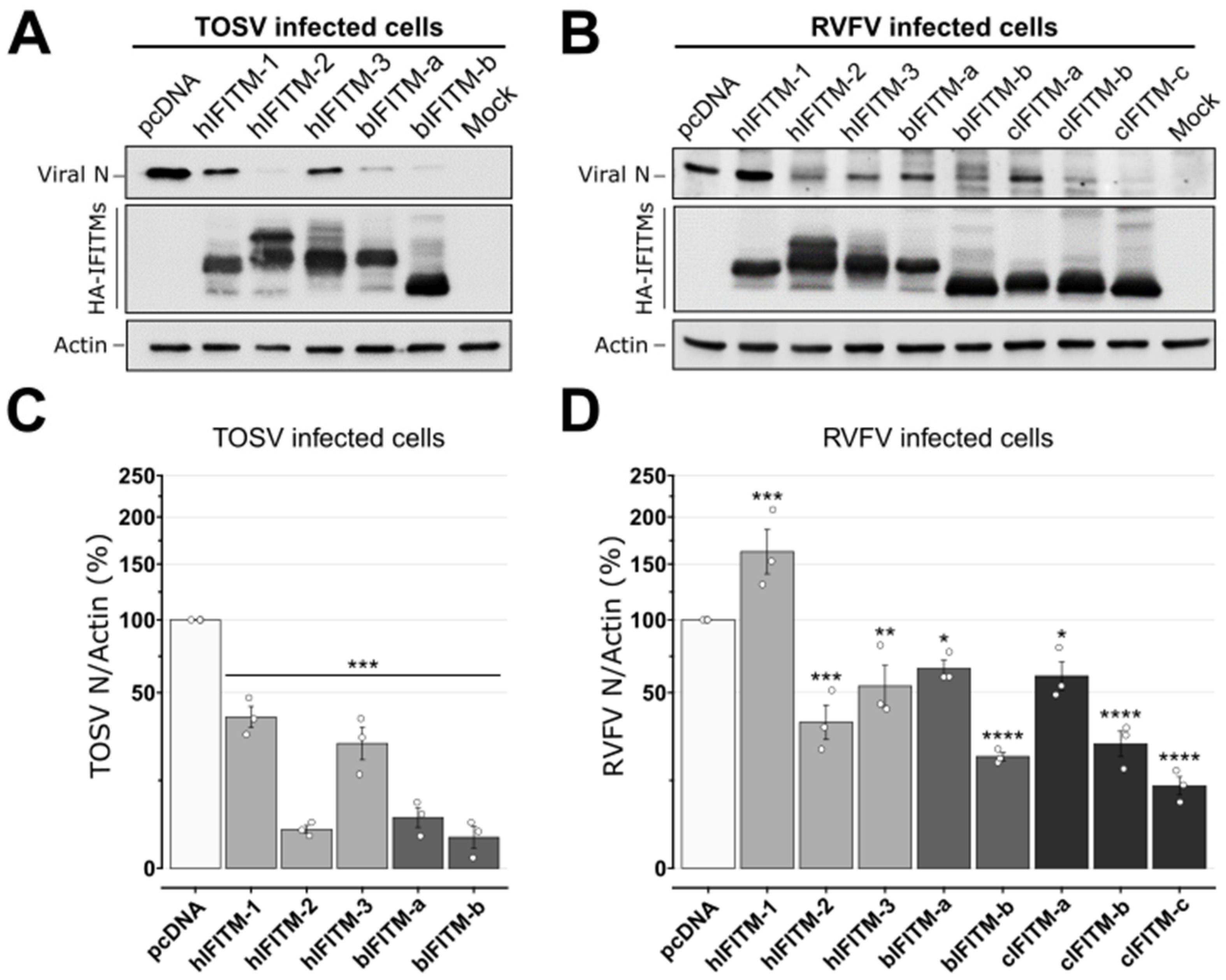 Viruses 15 00306 g004 Viruses 15 00306 g004