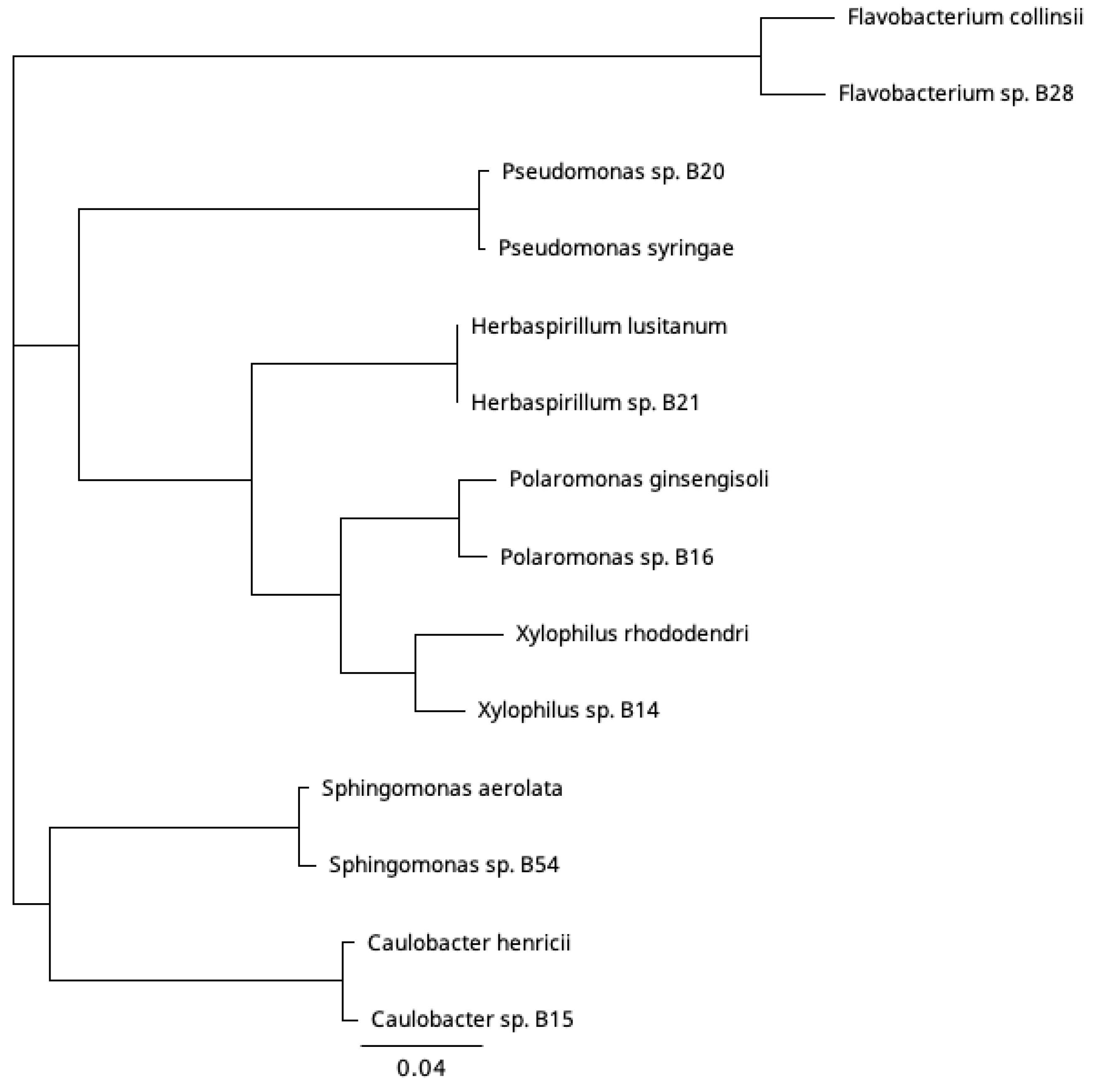Viruses 15 00307 g002 Viruses 15 00307 g002