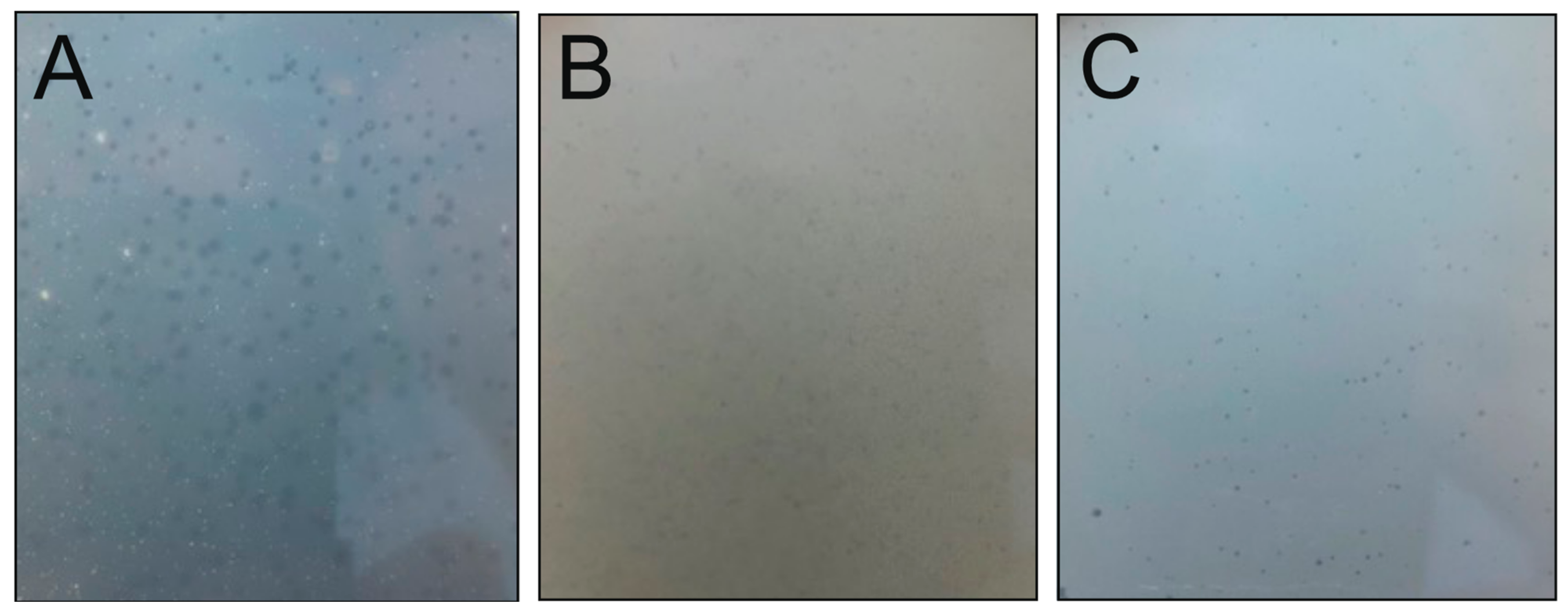 Viruses 15 00307 g003 Viruses 15 00307 g003