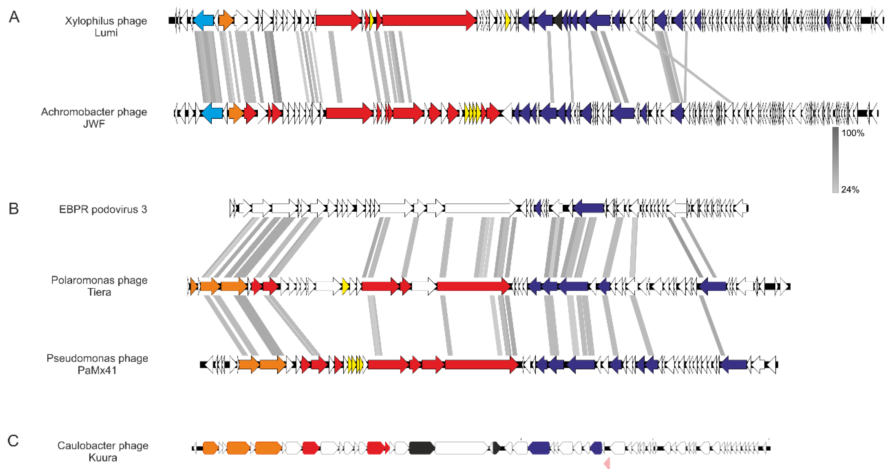 Viruses 15 00307 g005 Viruses 15 00307 g005