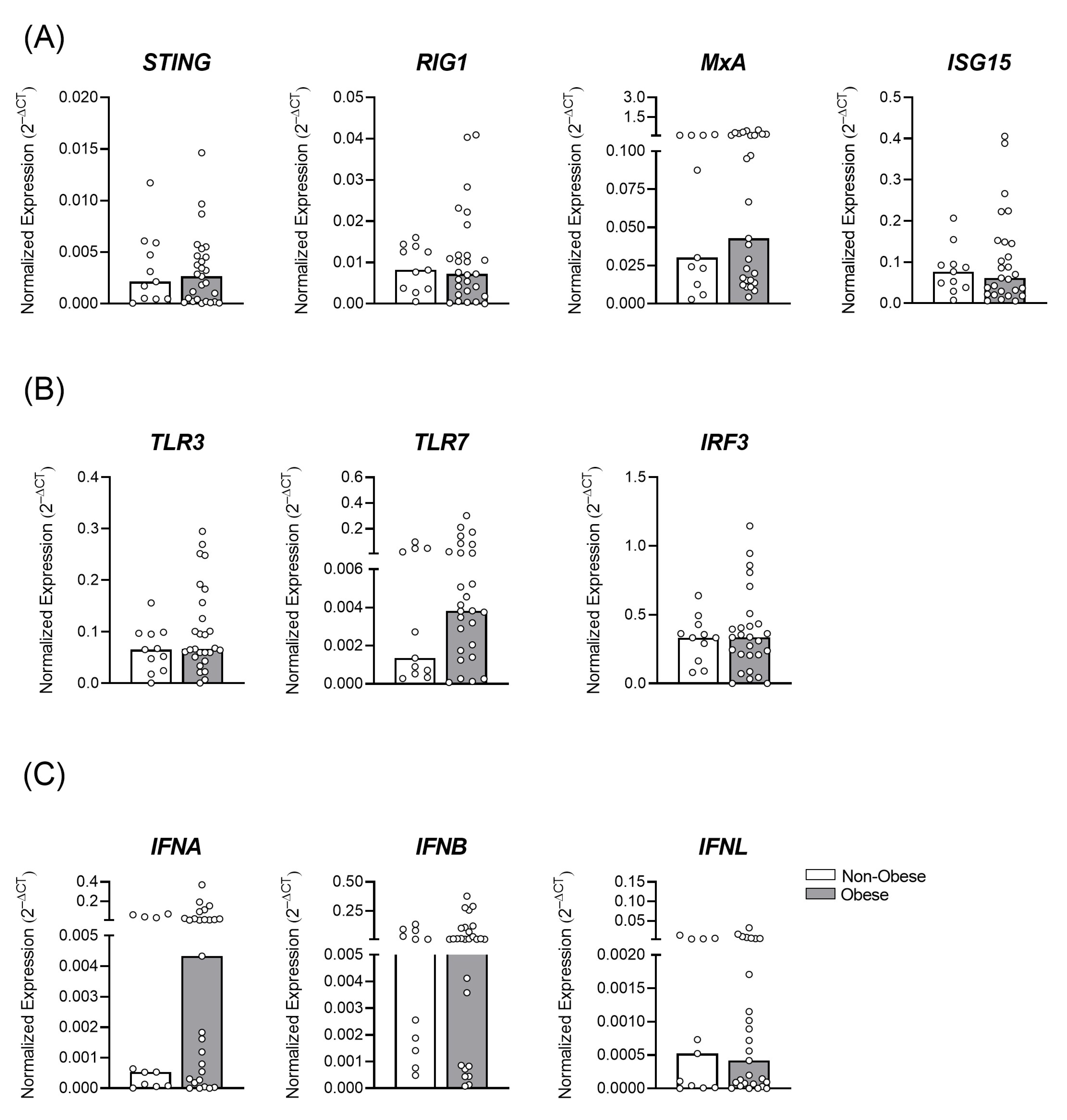 Viruses 15 00320 g002