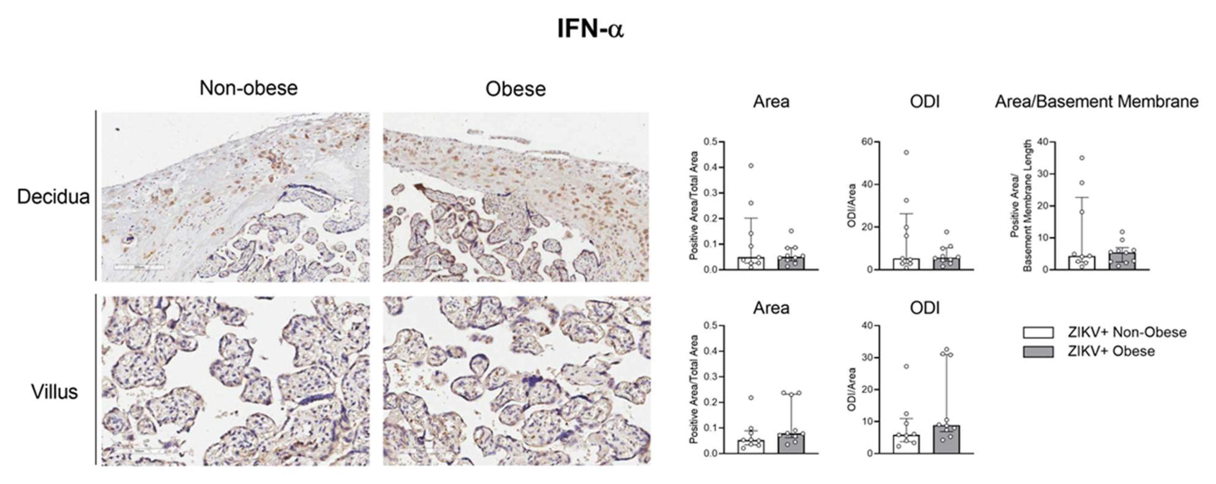 Viruses 15 00320 g007