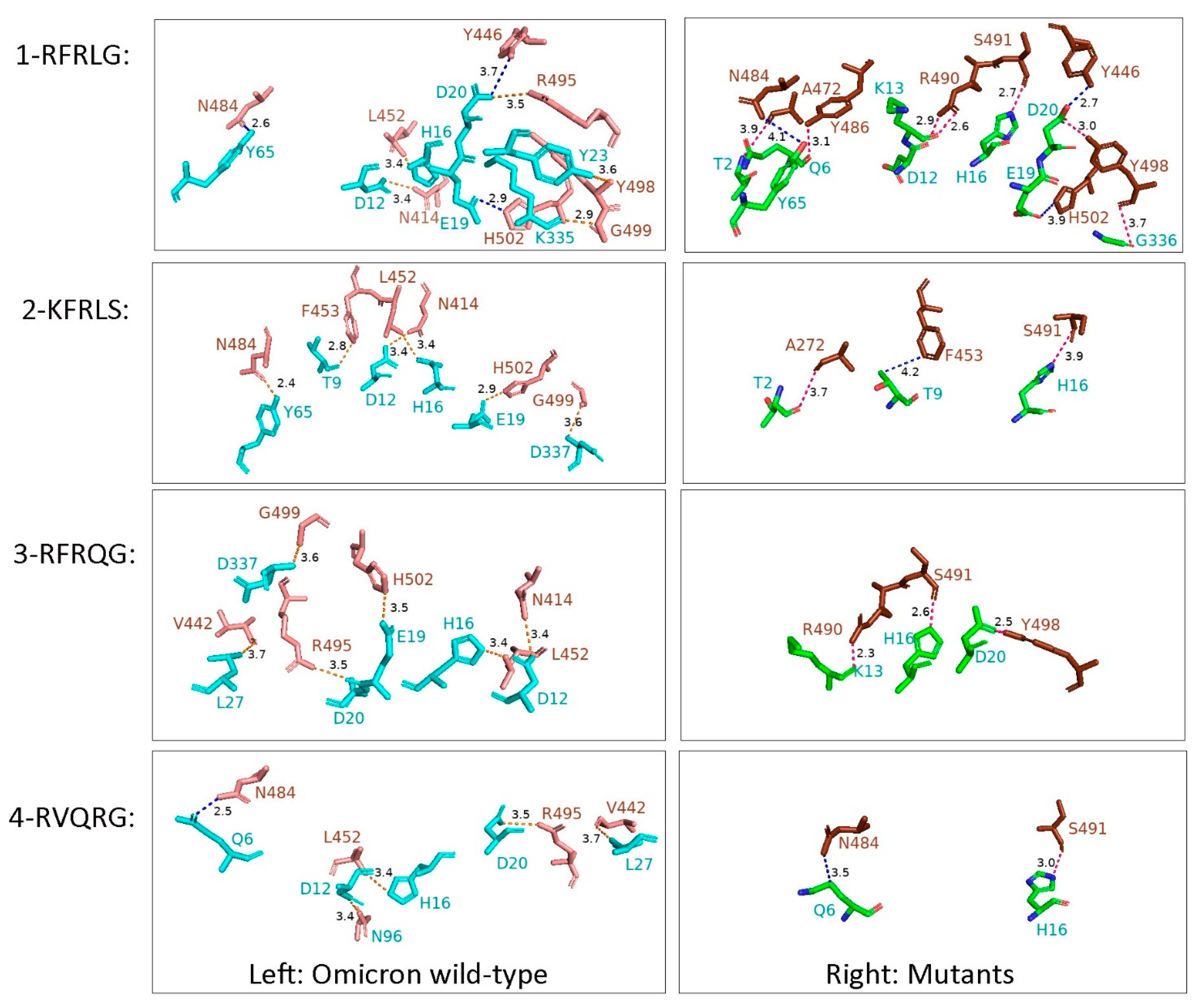 Viruses 15 00321 g007 Viruses 15 00321 g007