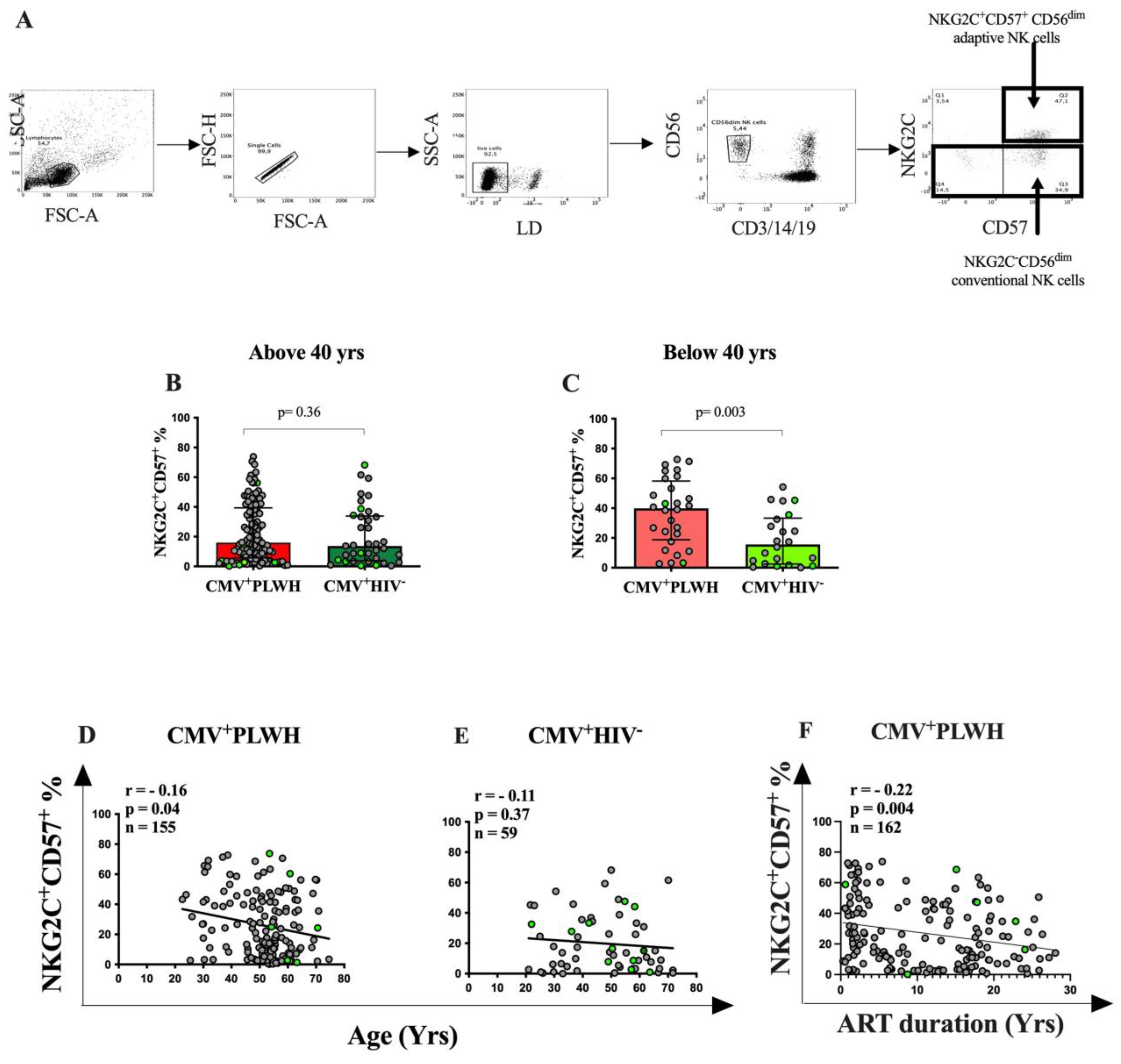 Viruses 15 00323 g001