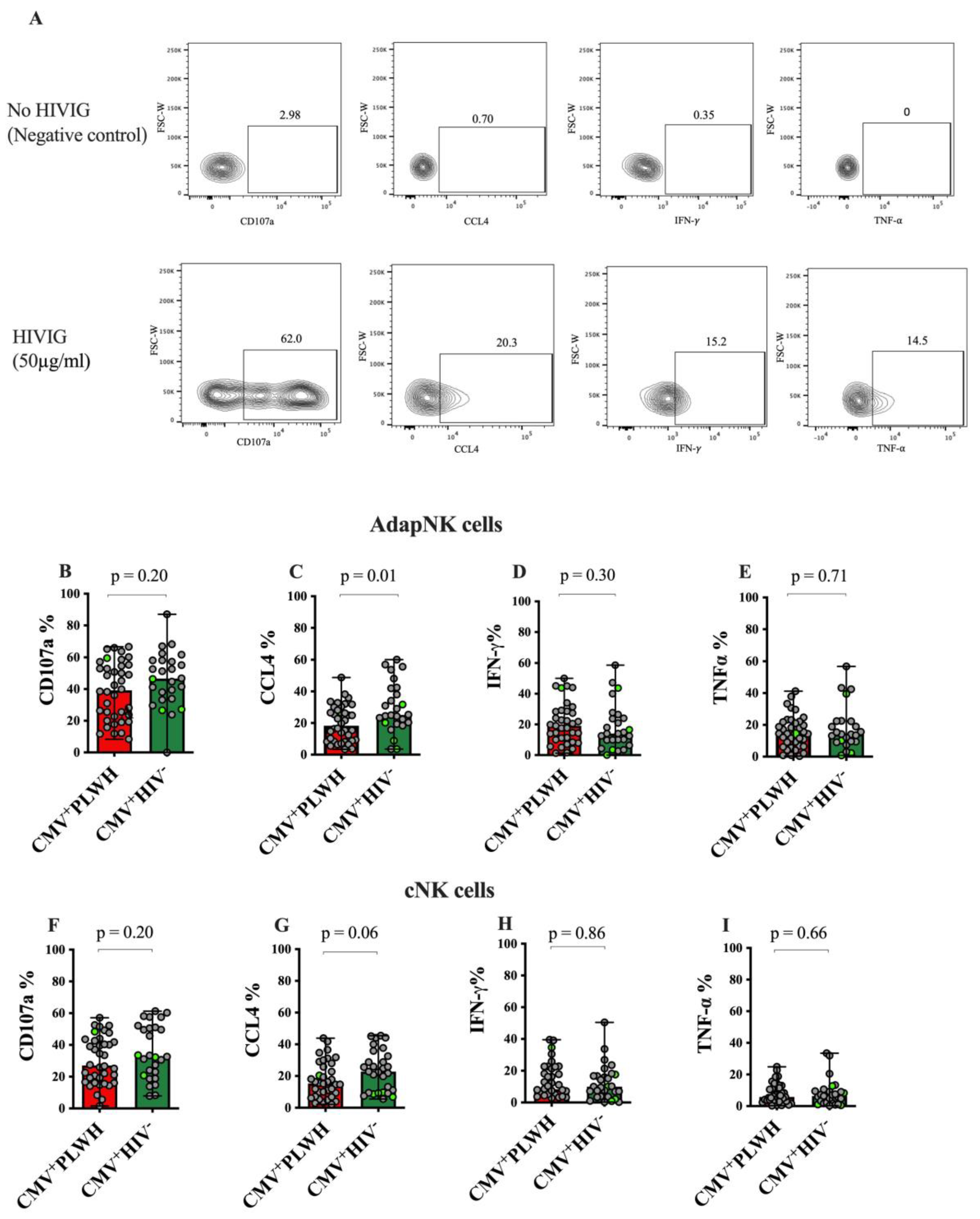 Viruses 15 00323 g004