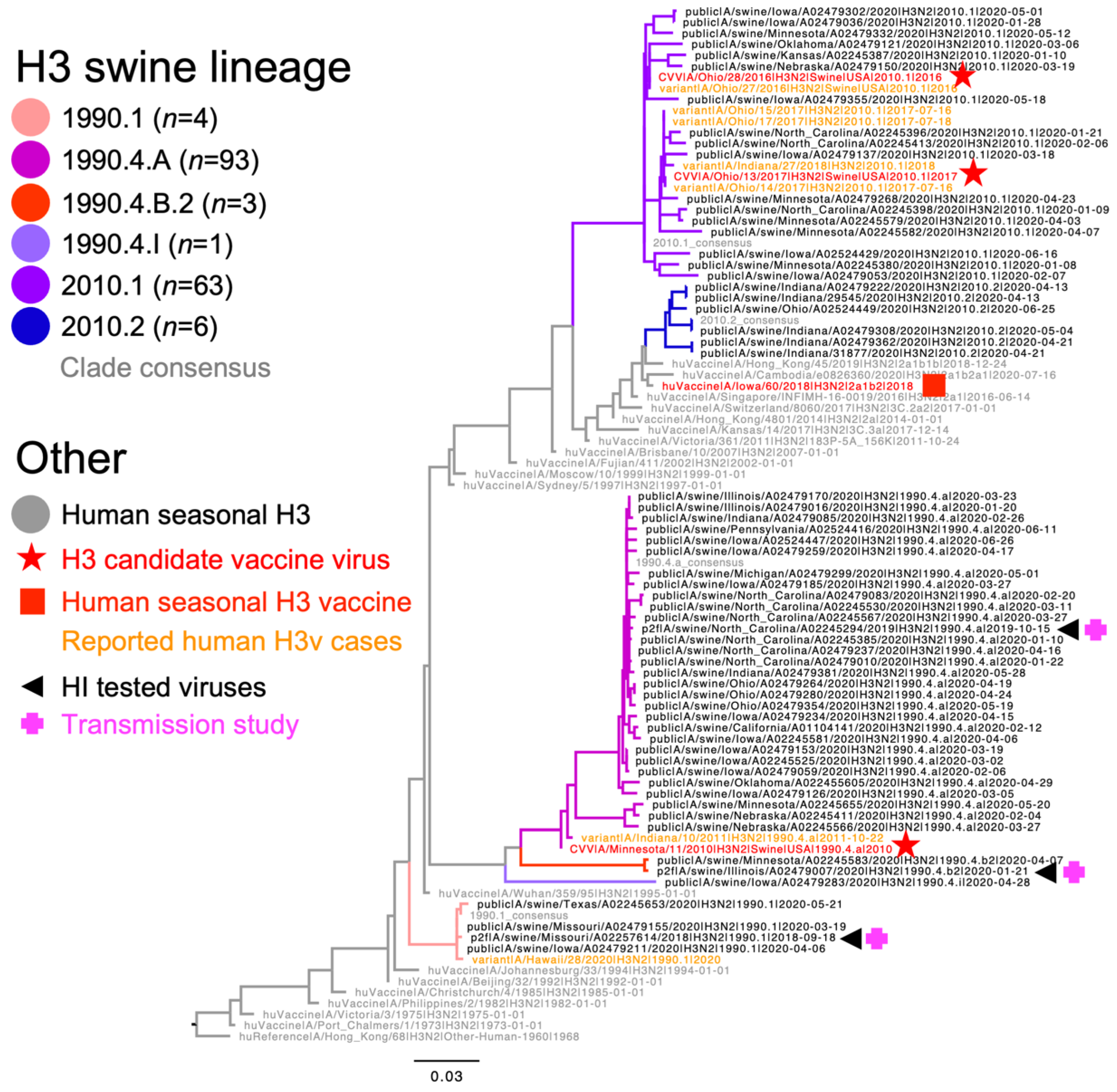 Viruses 15 00331 g001 Viruses 15 00331 g001