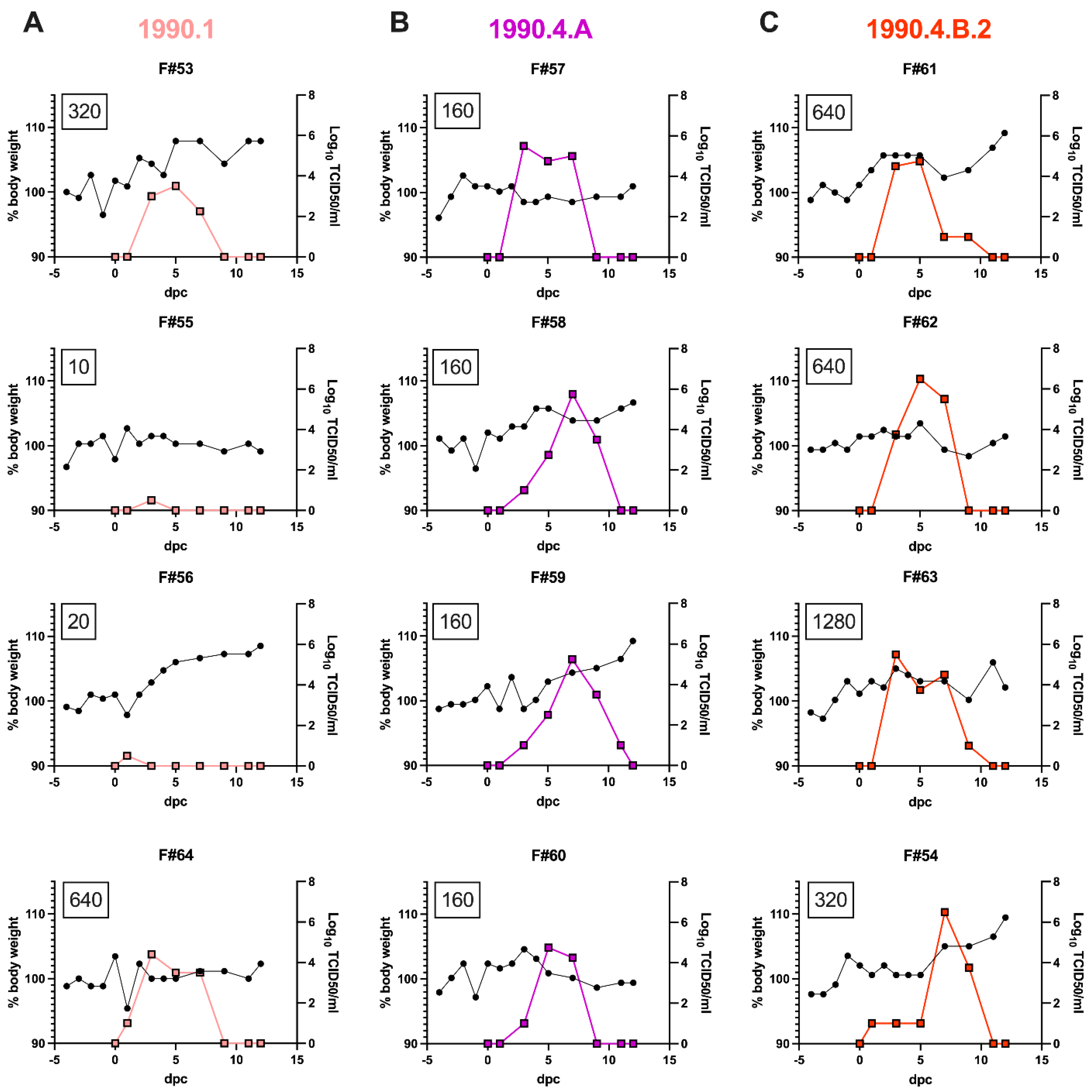 Viruses 15 00331 g003 Viruses 15 00331 g003