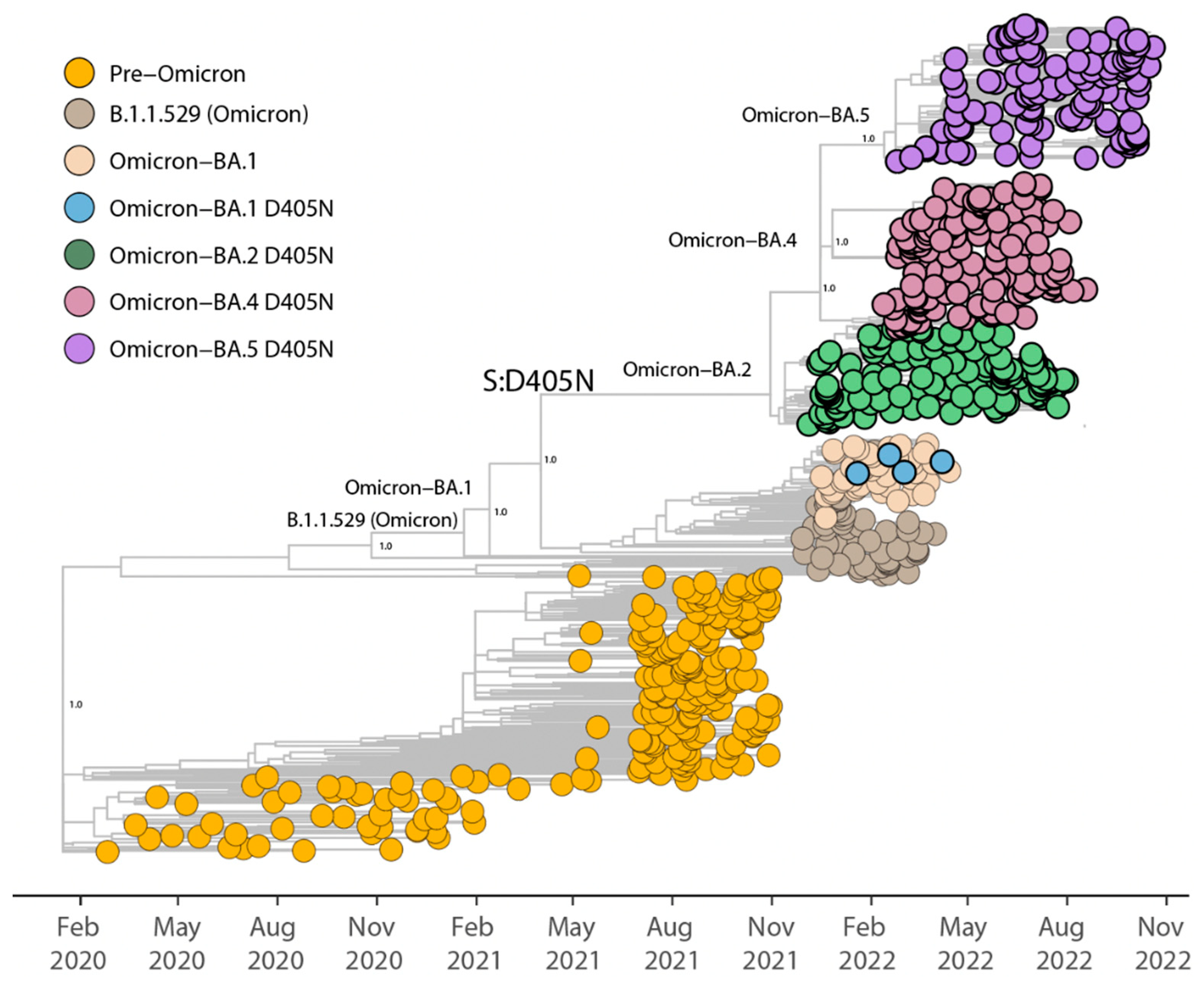 Viruses 15 00332 g001