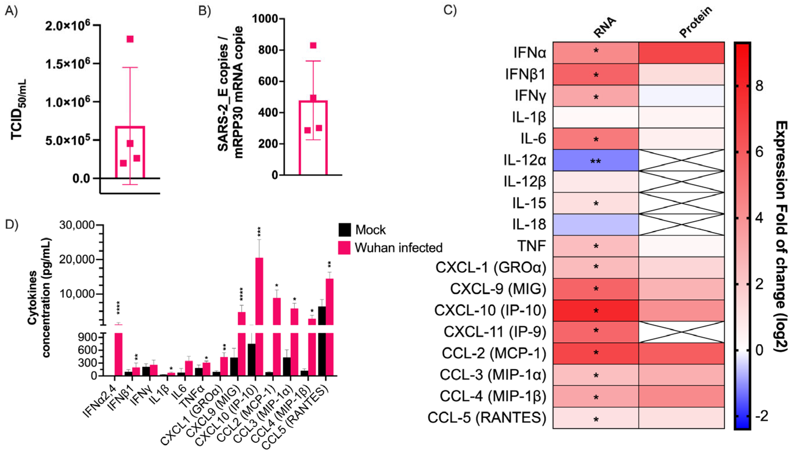 Viruses 15 00334 g001