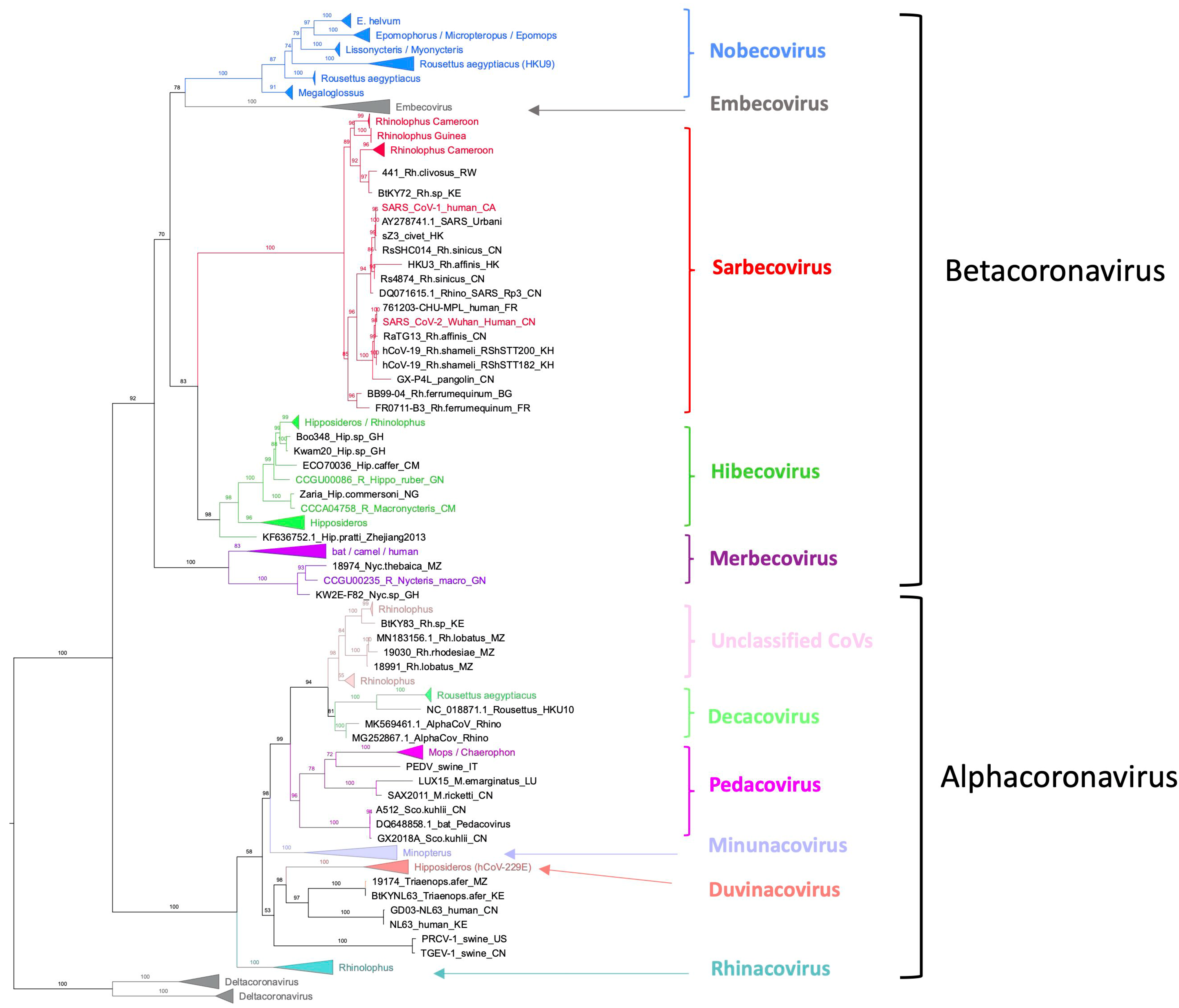 Viruses 15 00337 g005