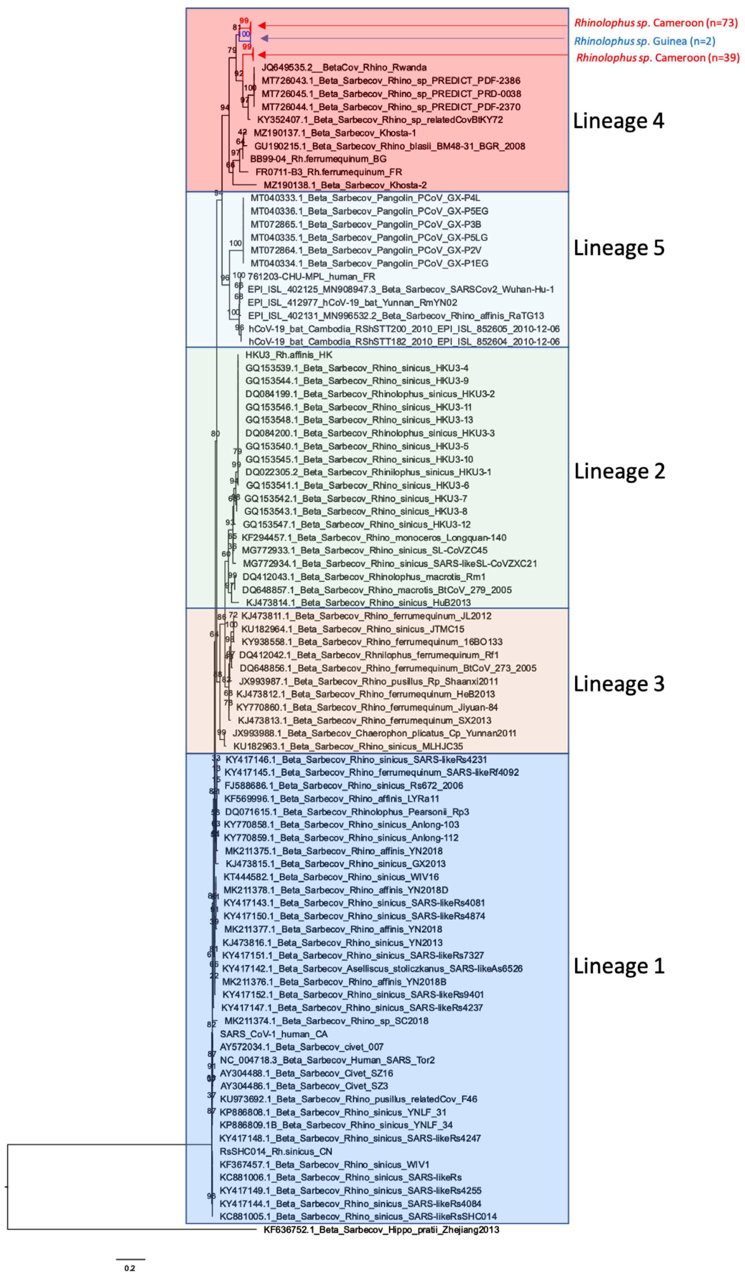 Viruses 15 00337 g006